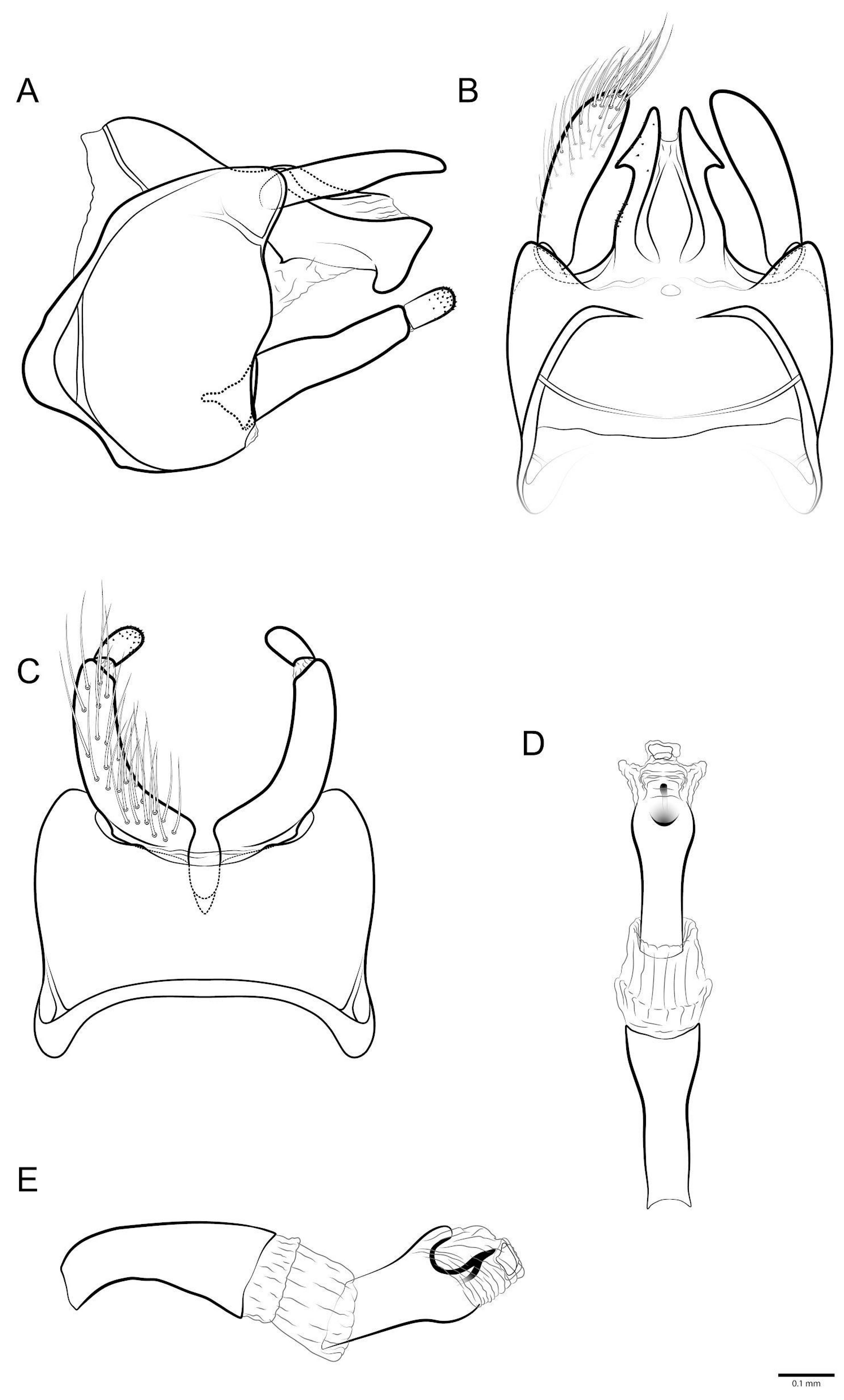 Taxonomy 03 00022 g007