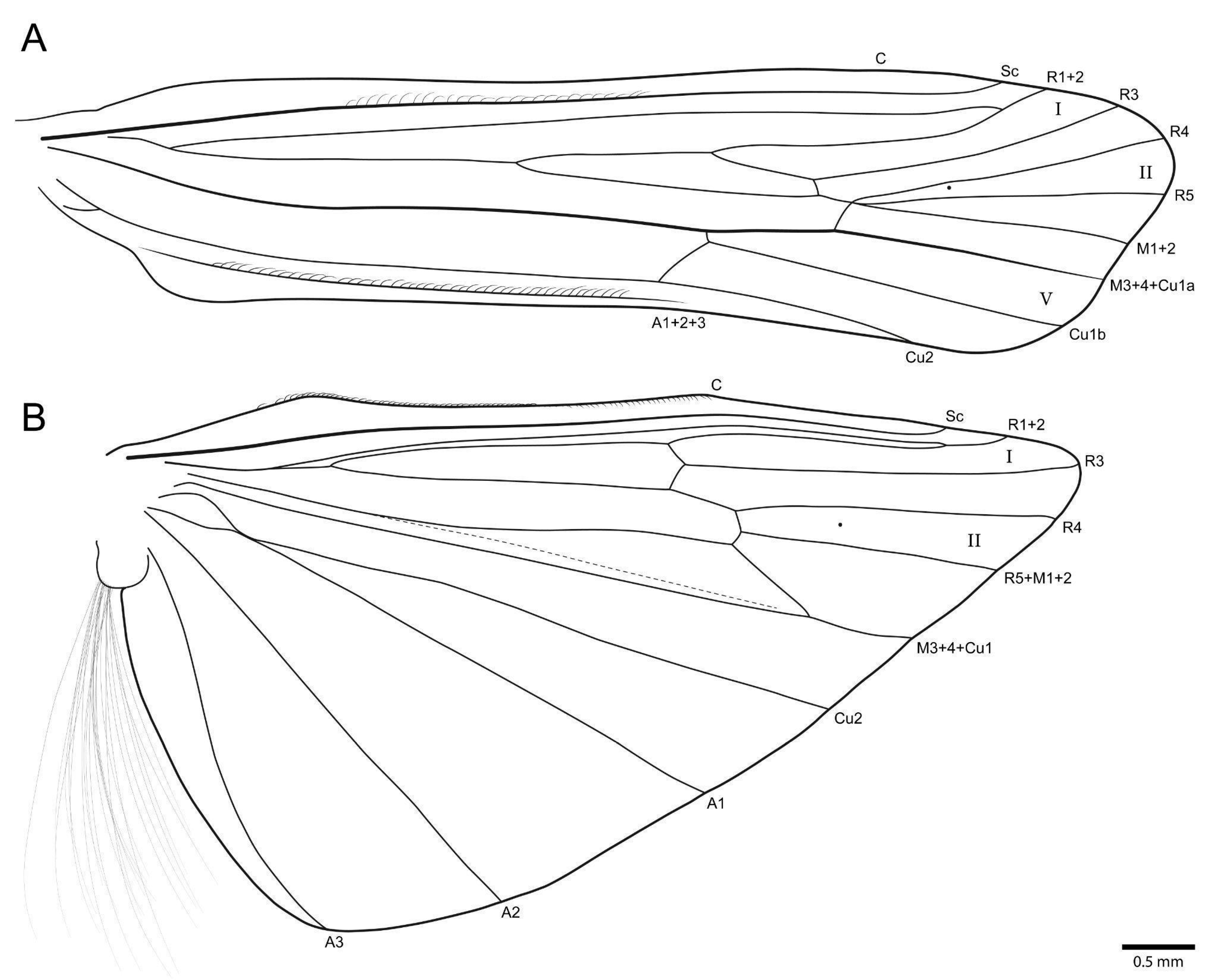 Taxonomy 03 00022 g009