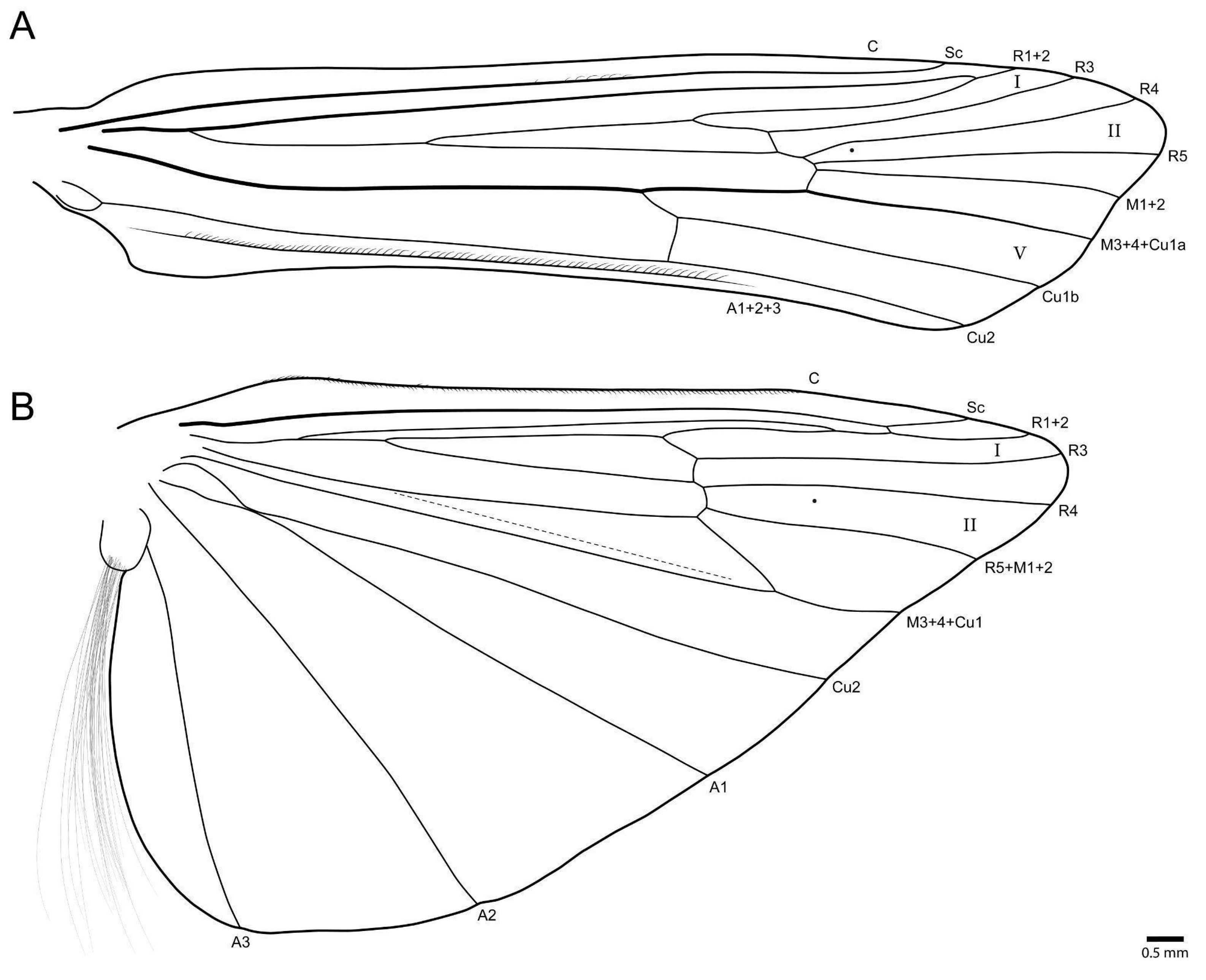 Taxonomy 03 00022 g012