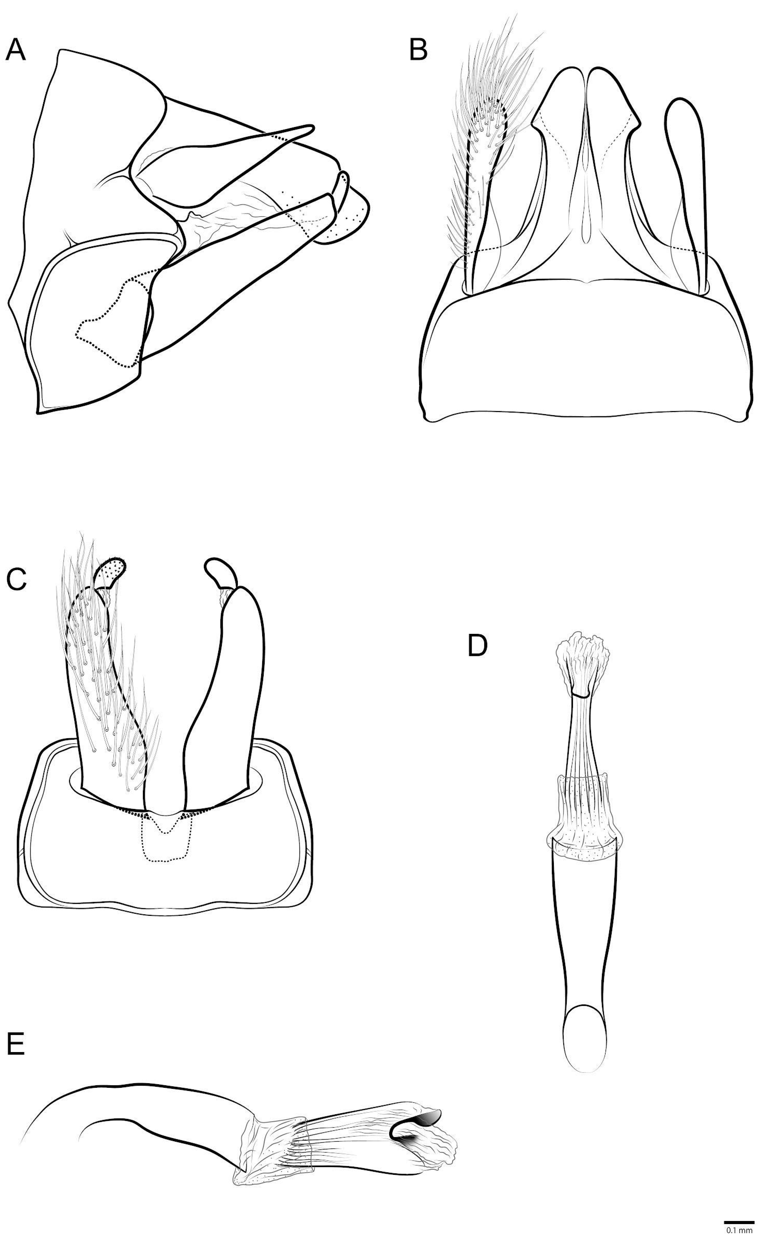Taxonomy 03 00022 g013