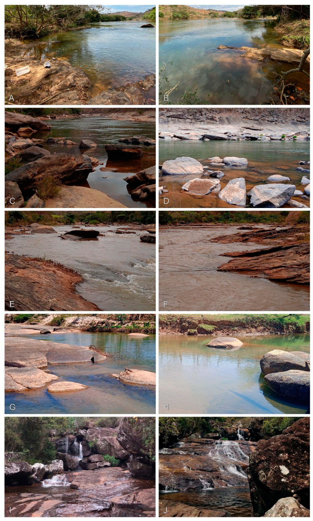 Taxonomy 03 00022 g014