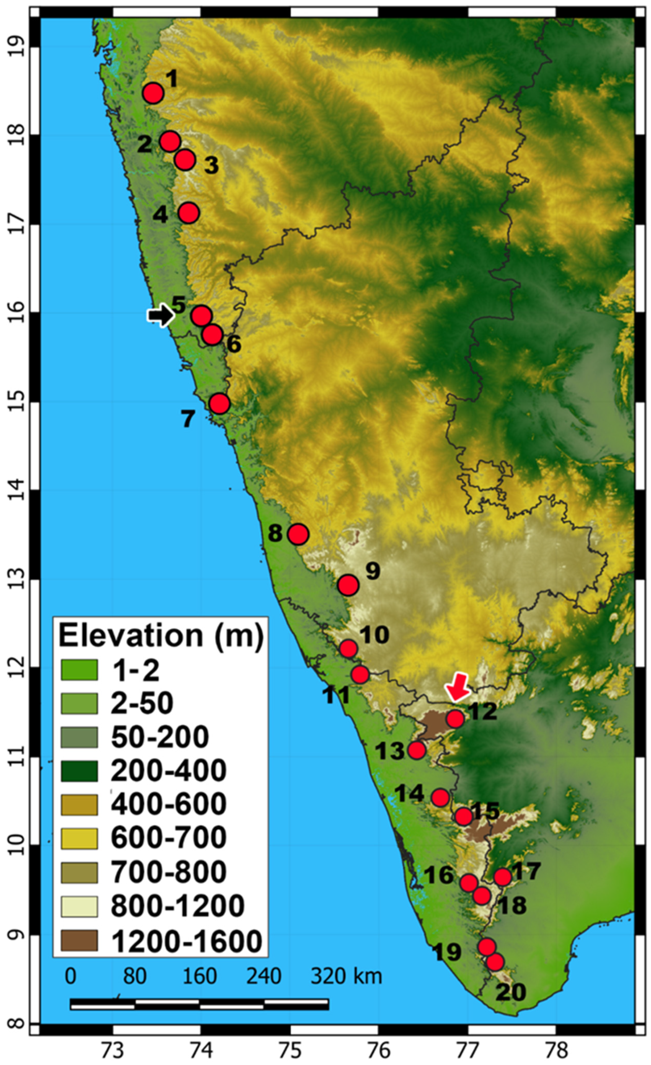 Taxonomy 03 00024 g011