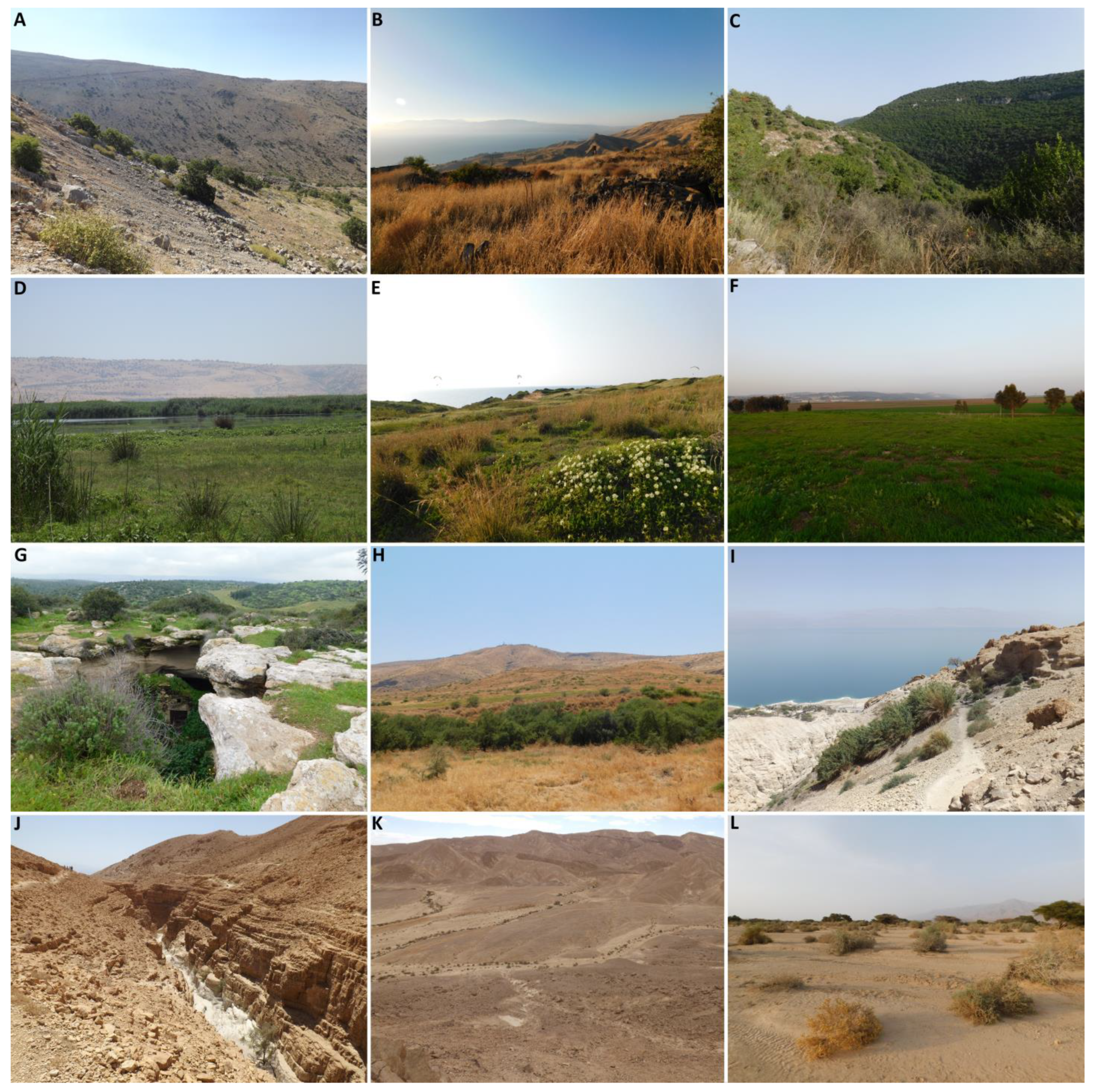 Taxonomy 03 00027 g002