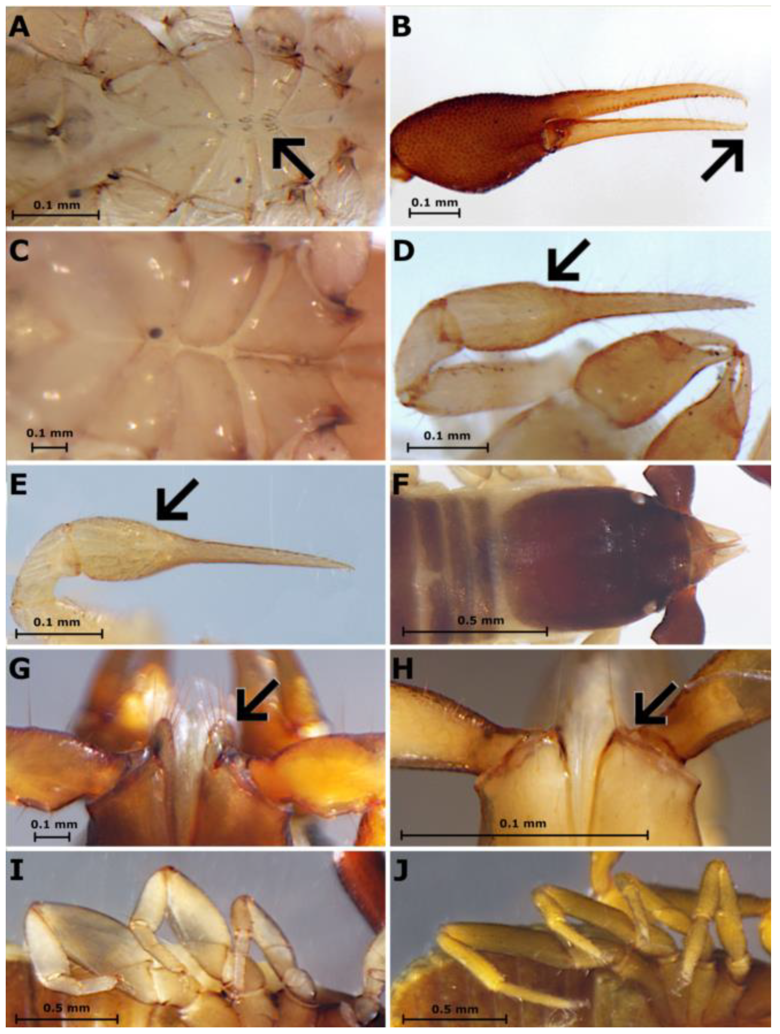 Taxonomy 03 00027 g007