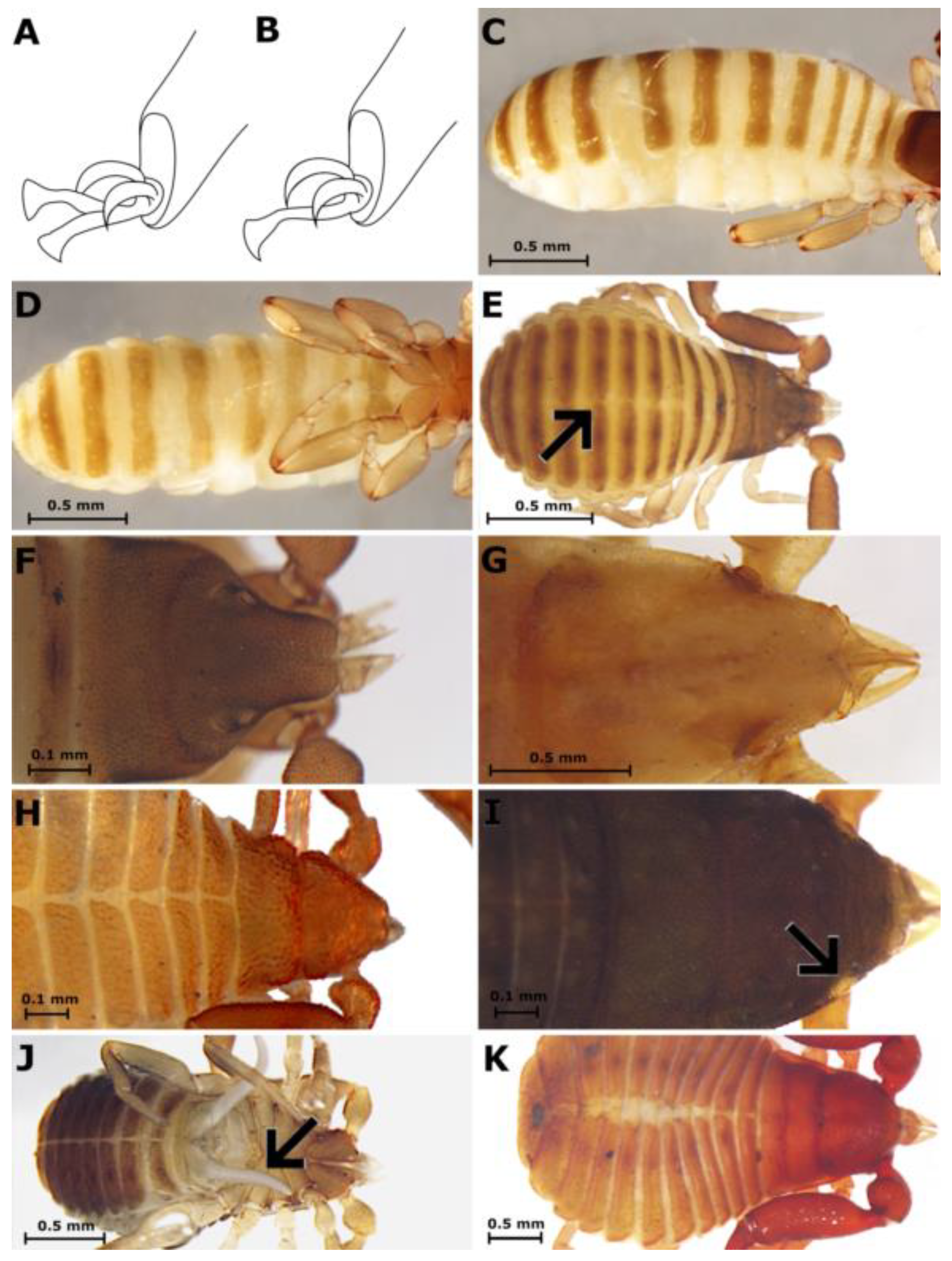 Taxonomy 03 00027 g008