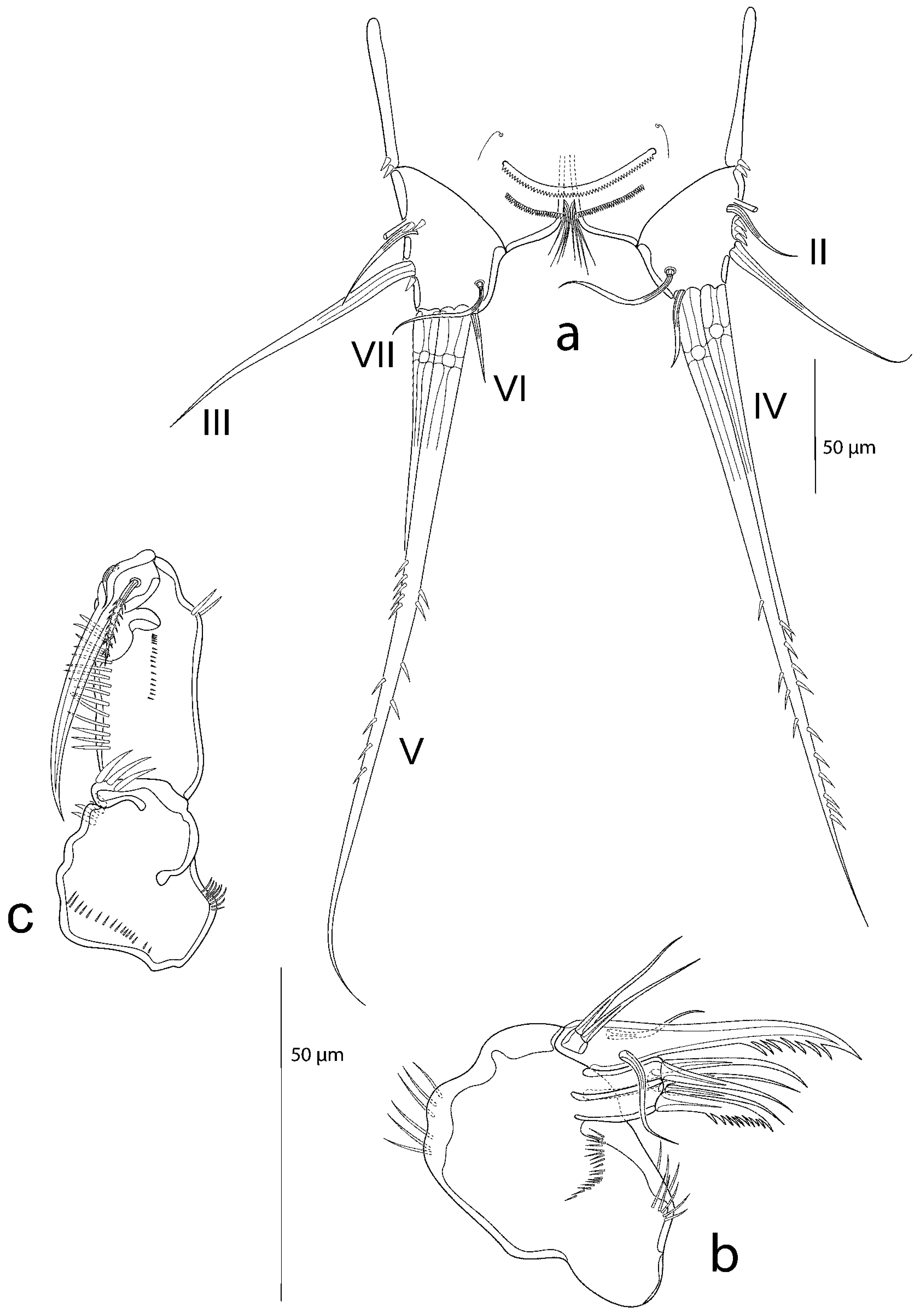 Taxonomy 03 00030 g005