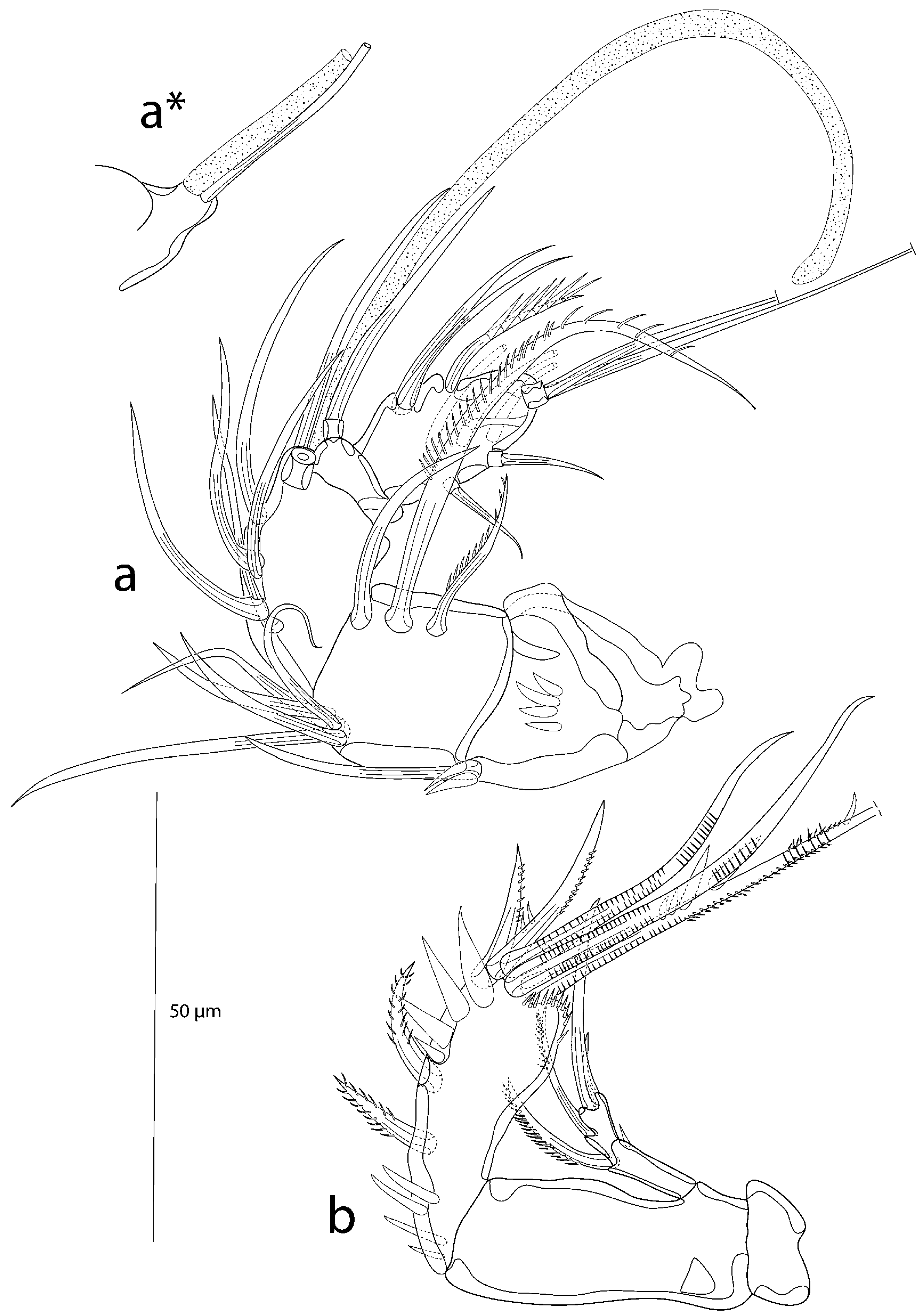 Taxonomy 03 00030 g006