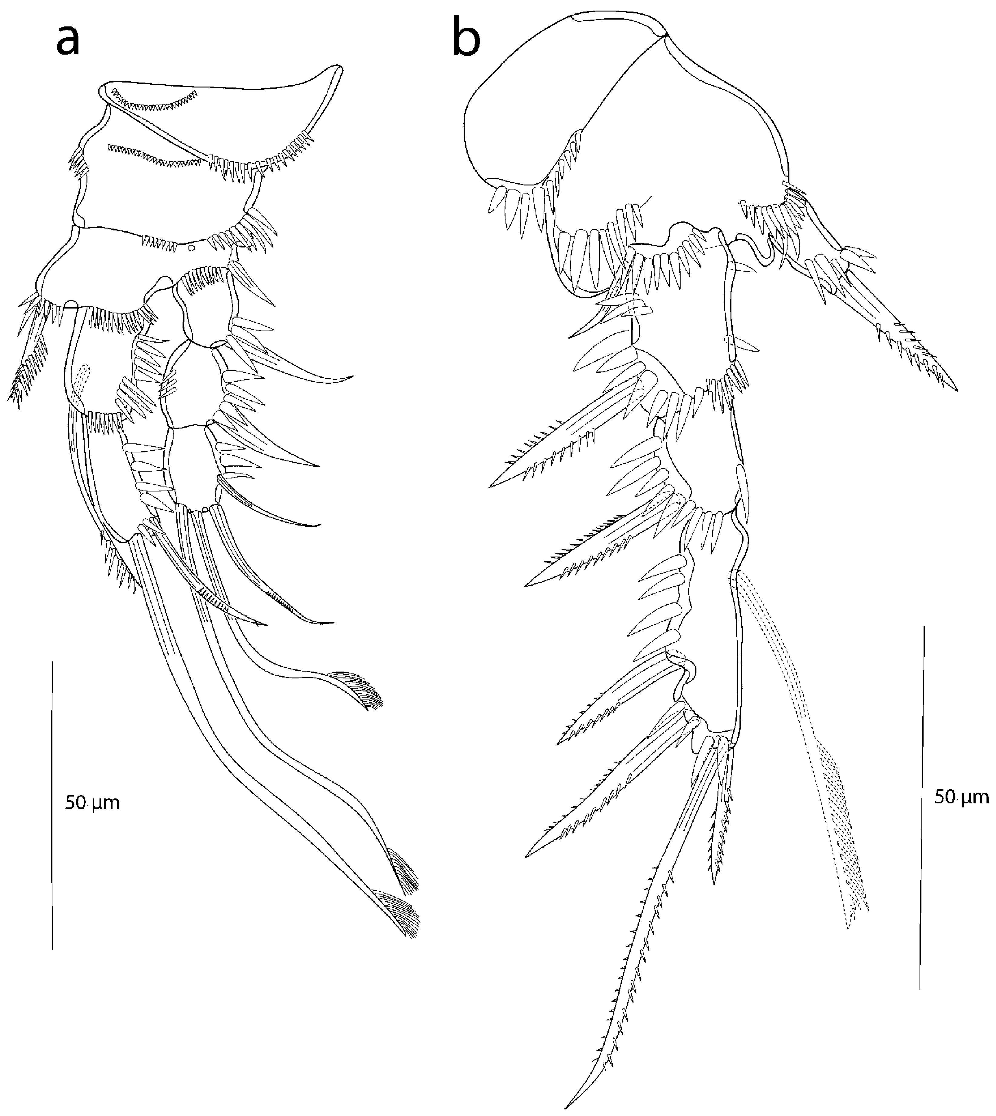 Taxonomy 03 00030 g008