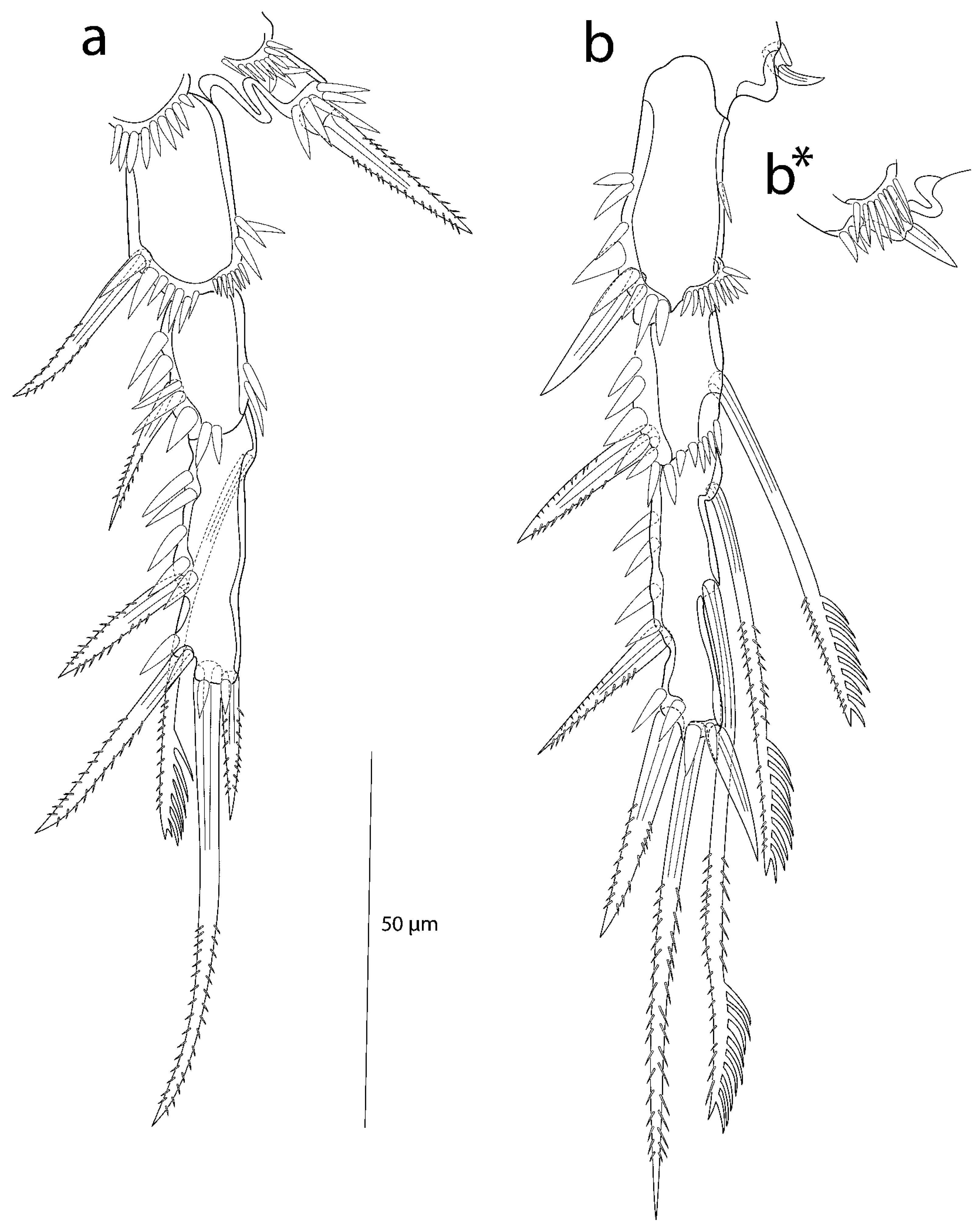 Taxonomy 03 00030 g009