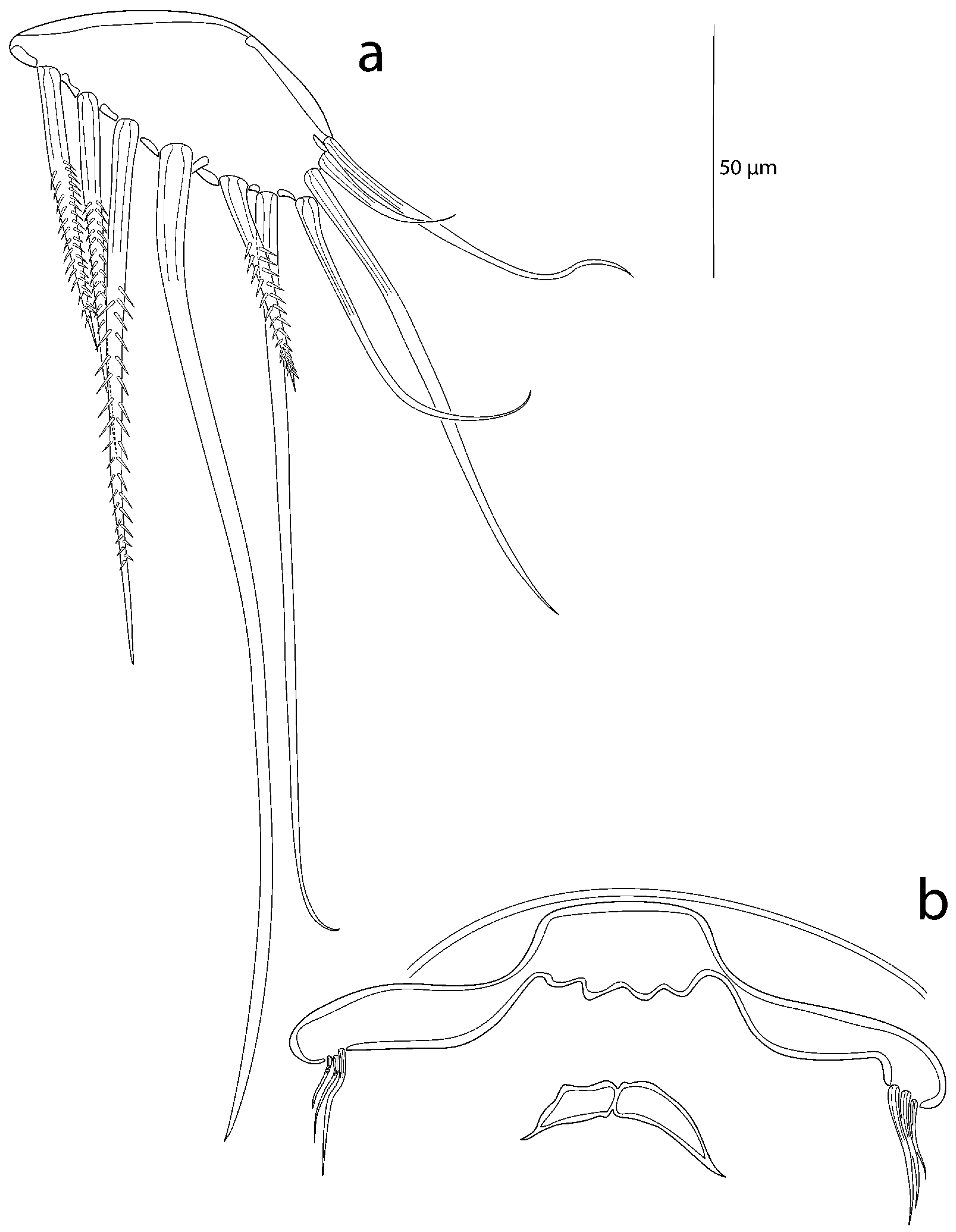 Taxonomy 03 00030 g010