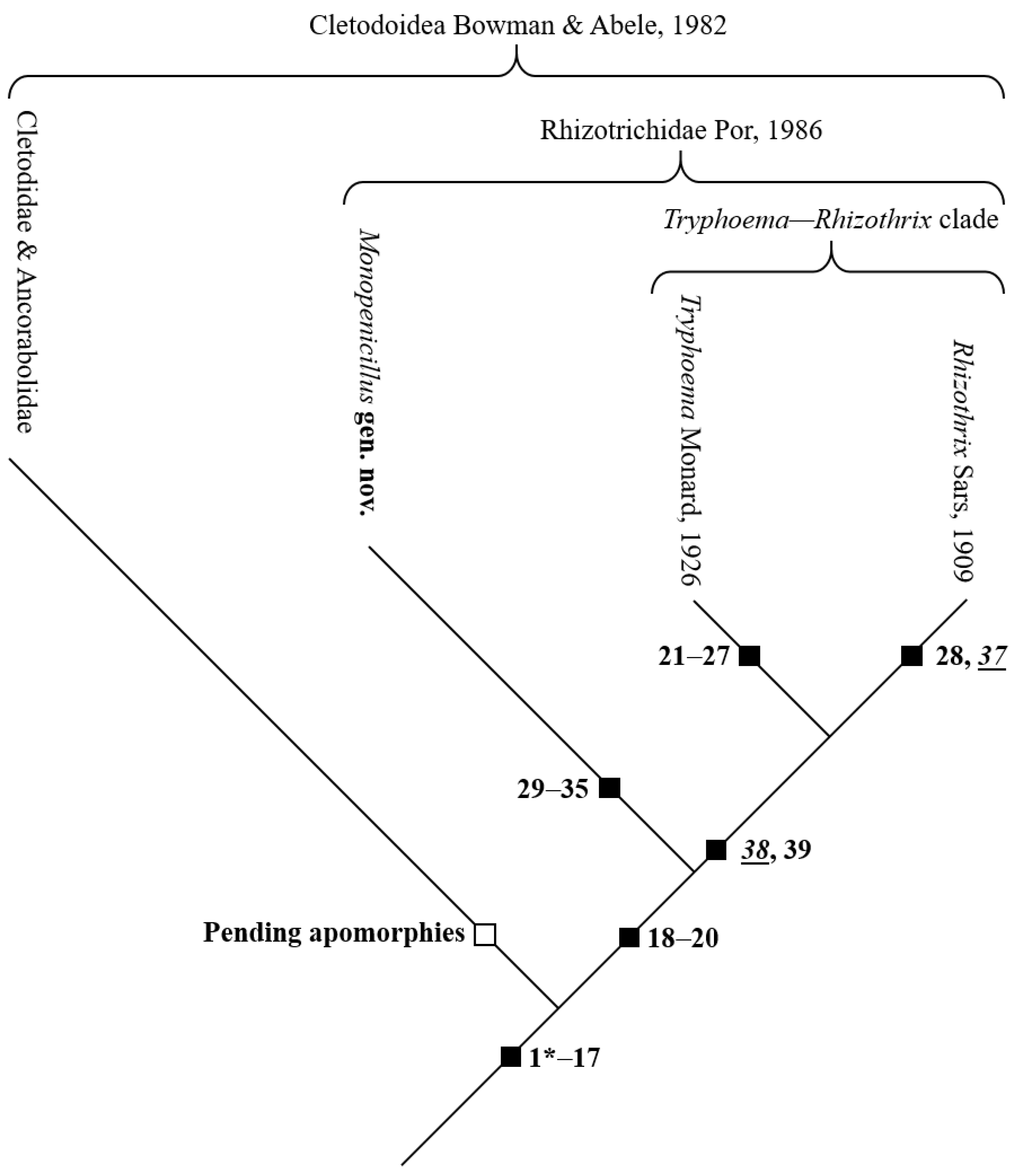 Taxonomy 03 00030 g011