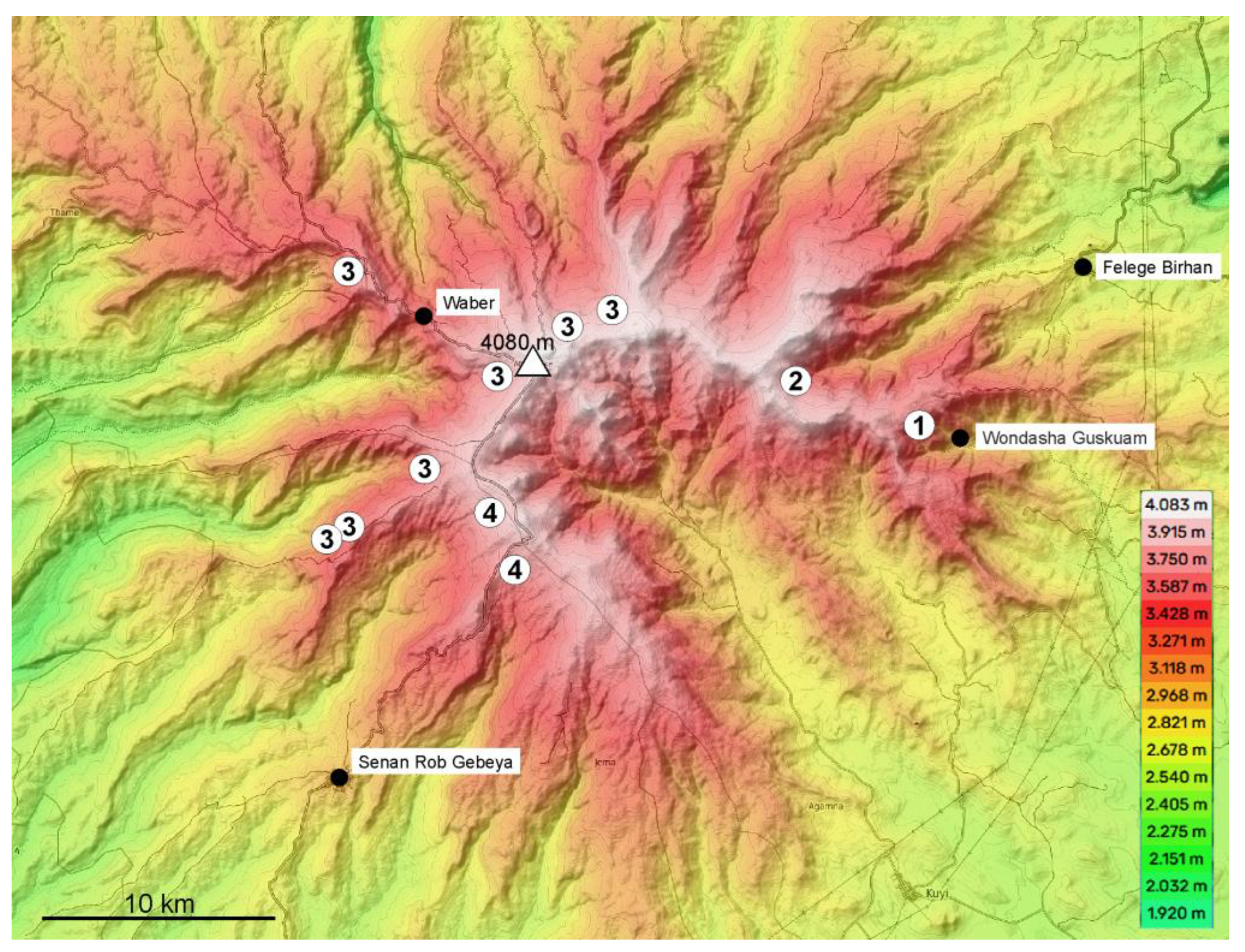 Taxonomy 04 00003 g004