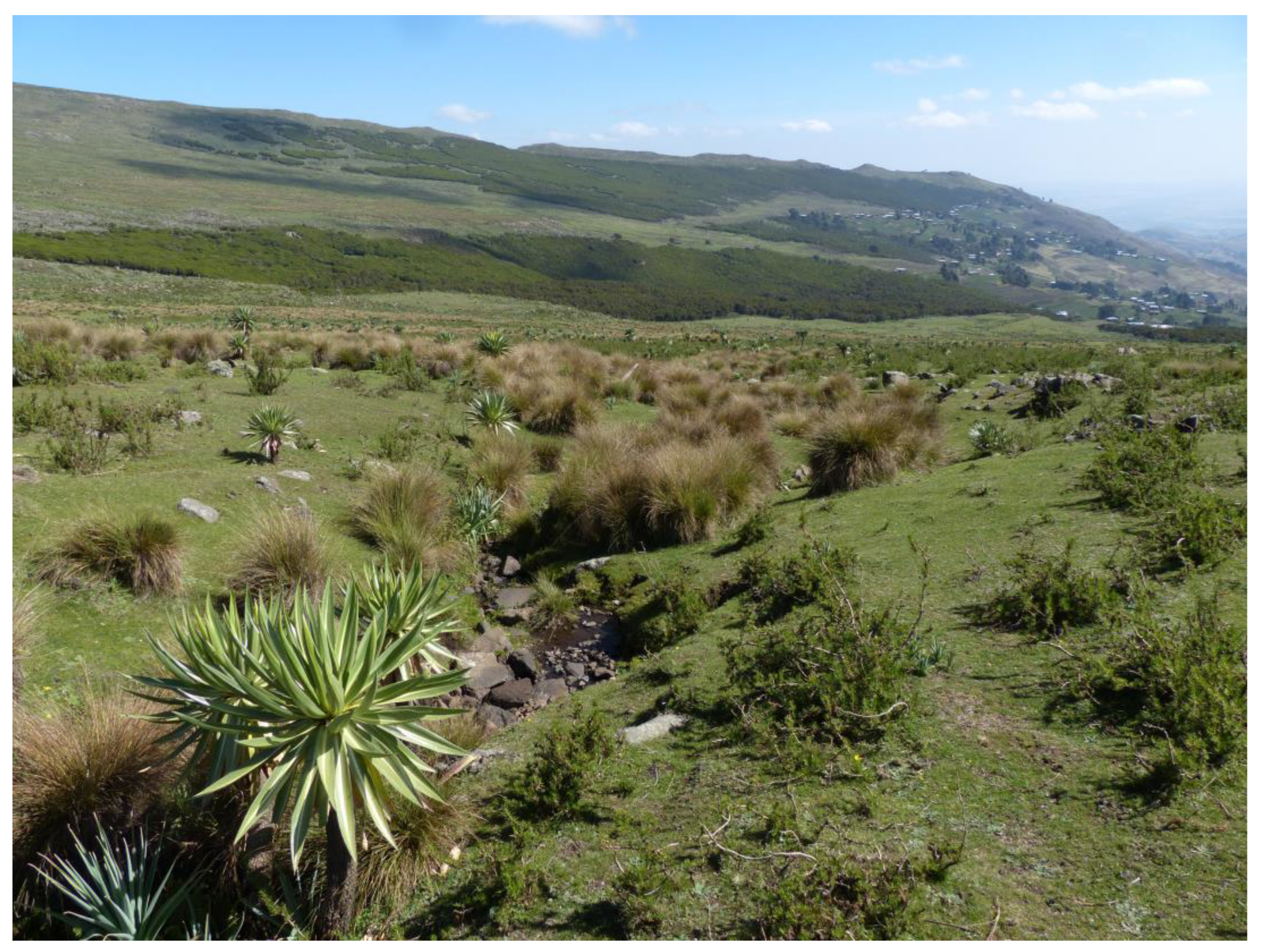 Taxonomy 04 00003 g007