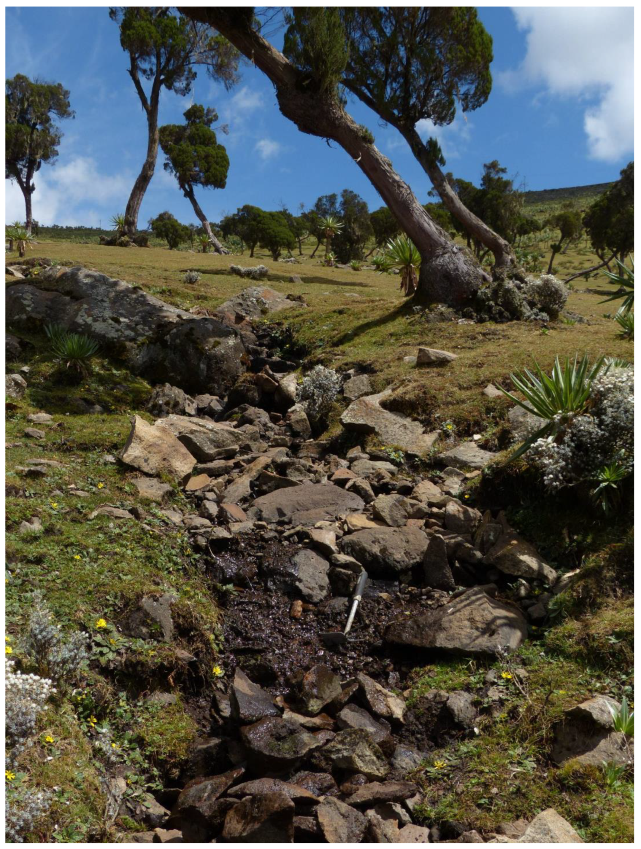 Taxonomy 04 00003 g008