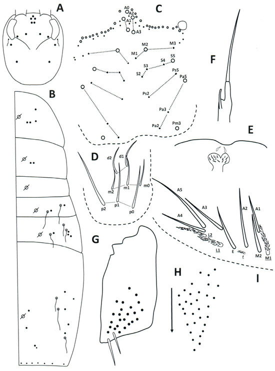Taxonomy 04 00011 g005