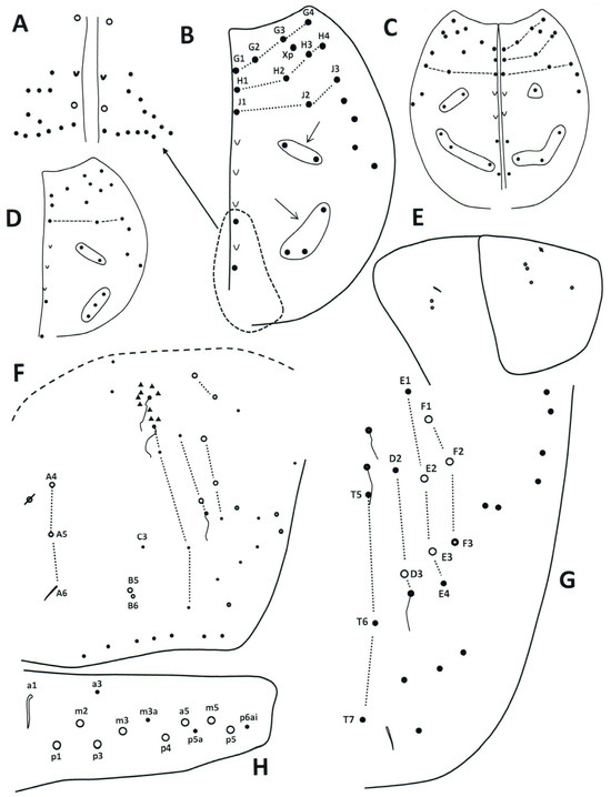 Taxonomy 04 00011 g006