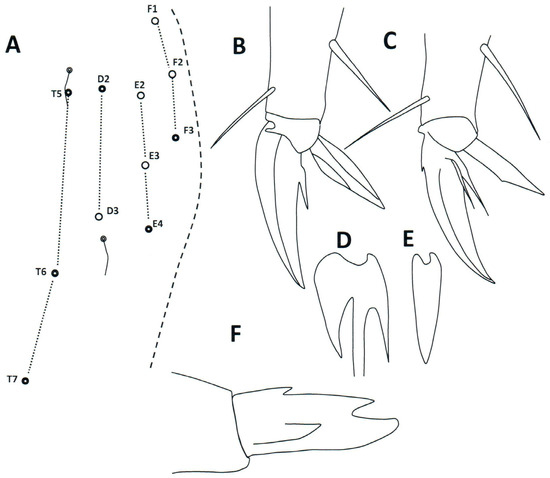 Taxonomy 04 00011 g007