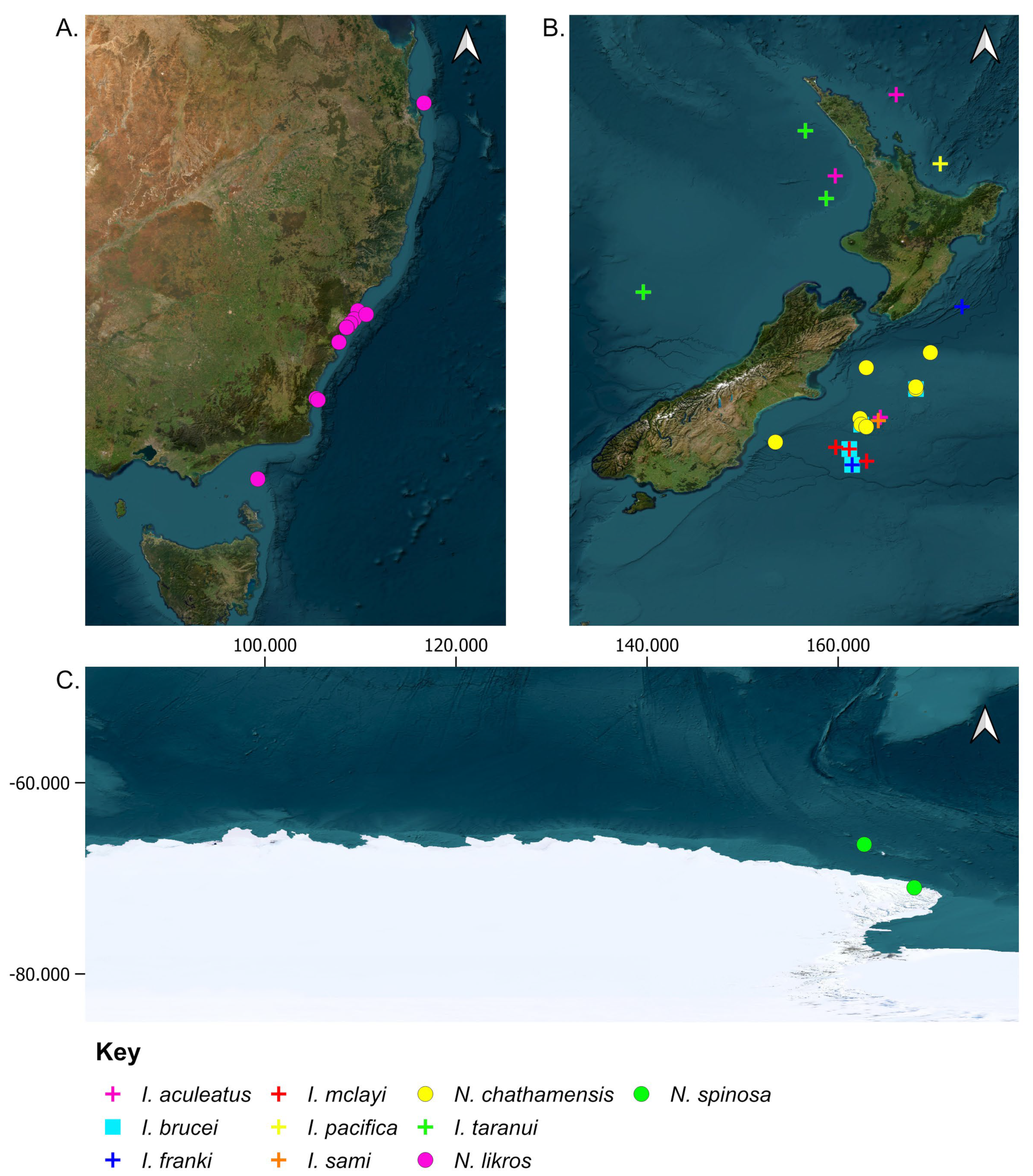 Taxonomy 04 00013 g001