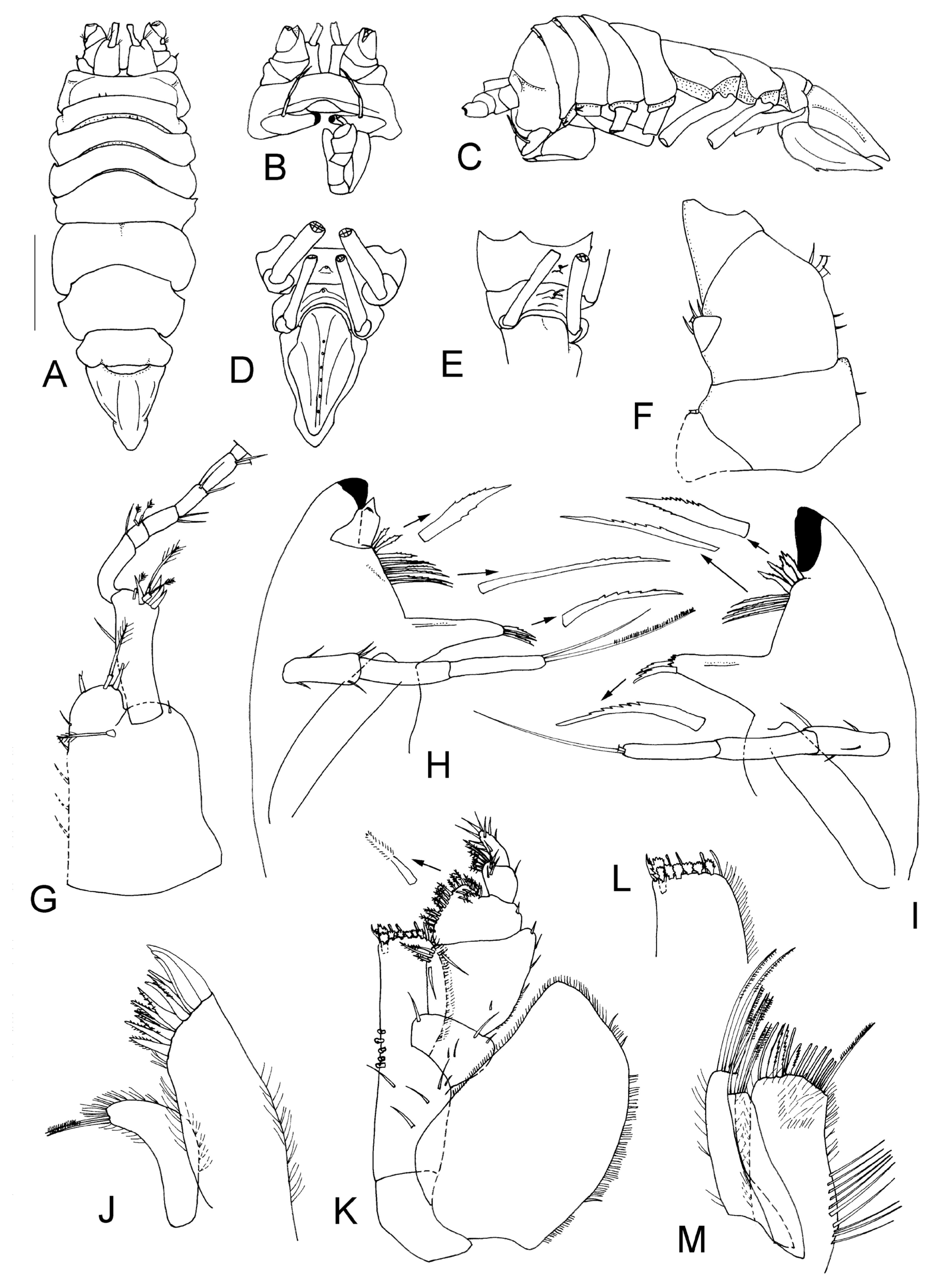 Taxonomy 04 00013 g005