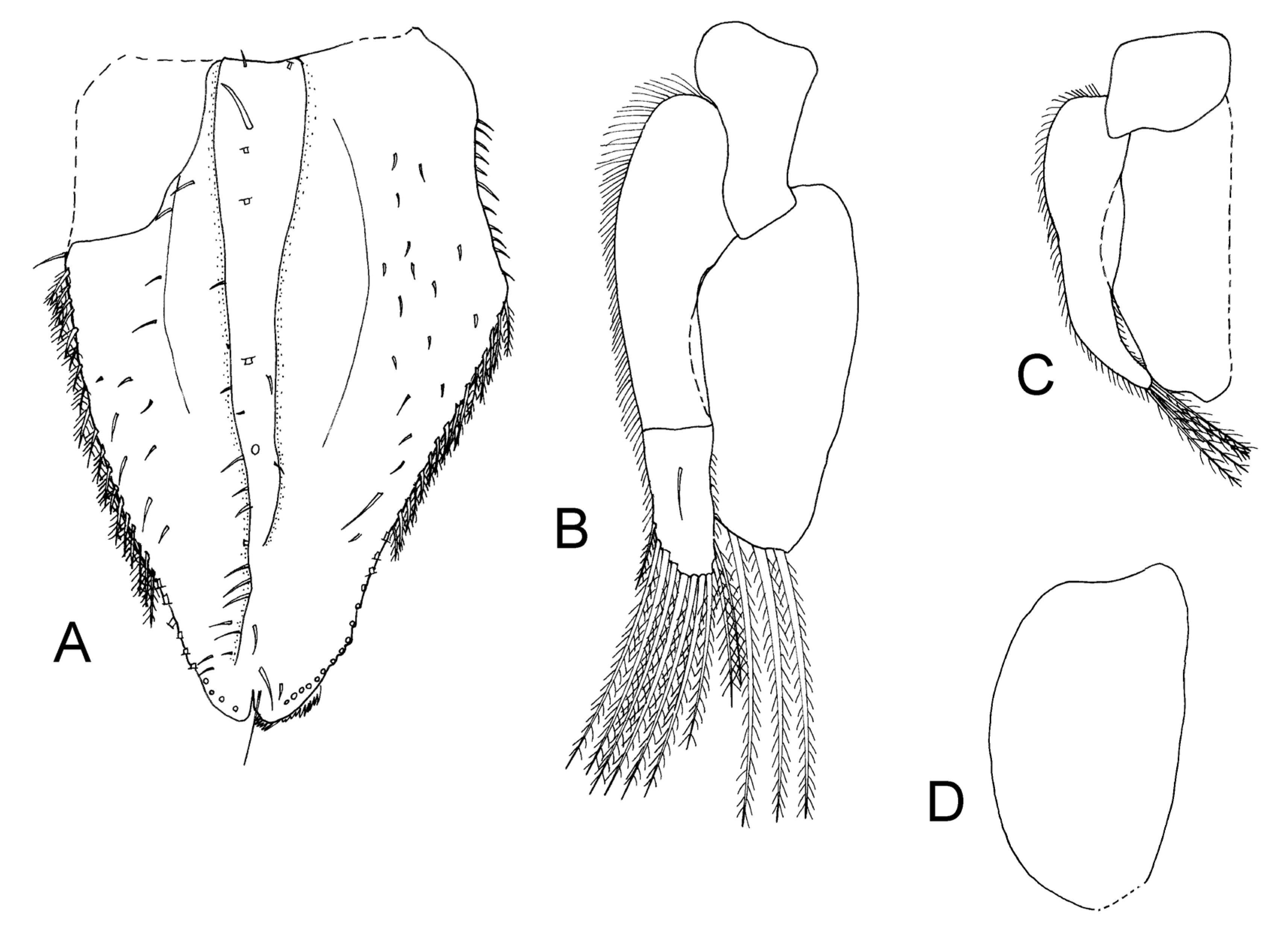 Taxonomy 04 00013 g006