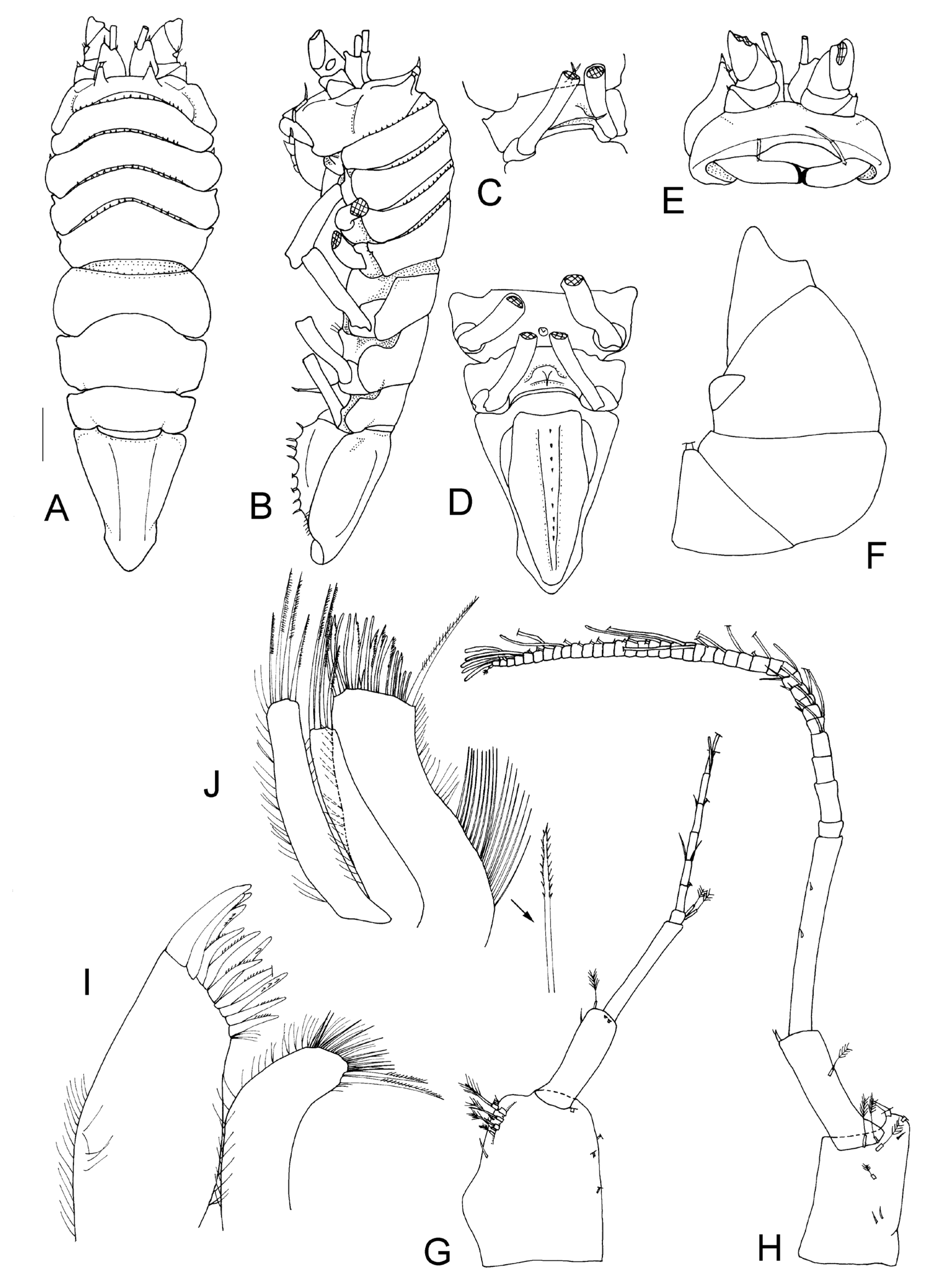 Taxonomy 04 00013 g007