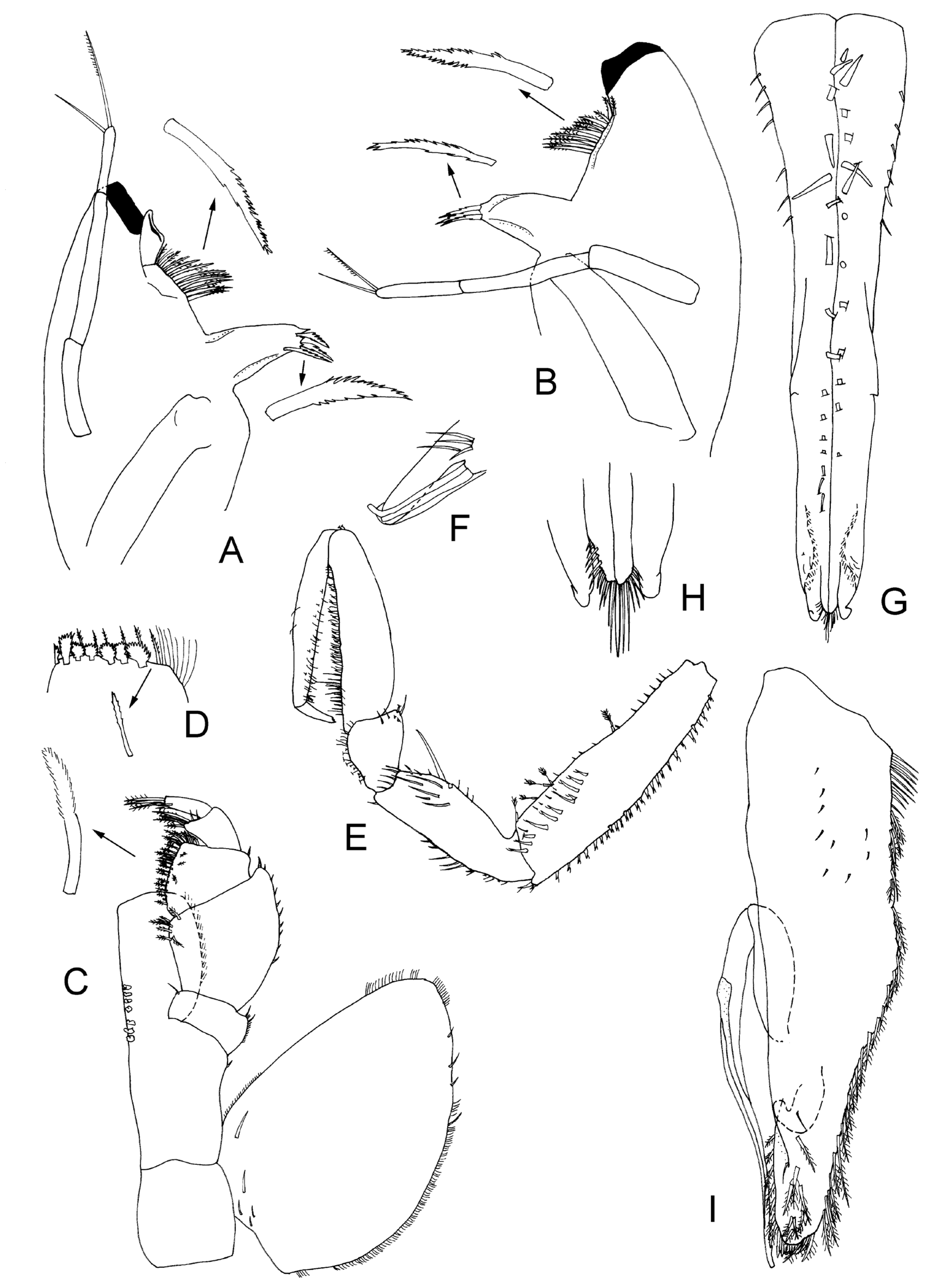Taxonomy 04 00013 g008
