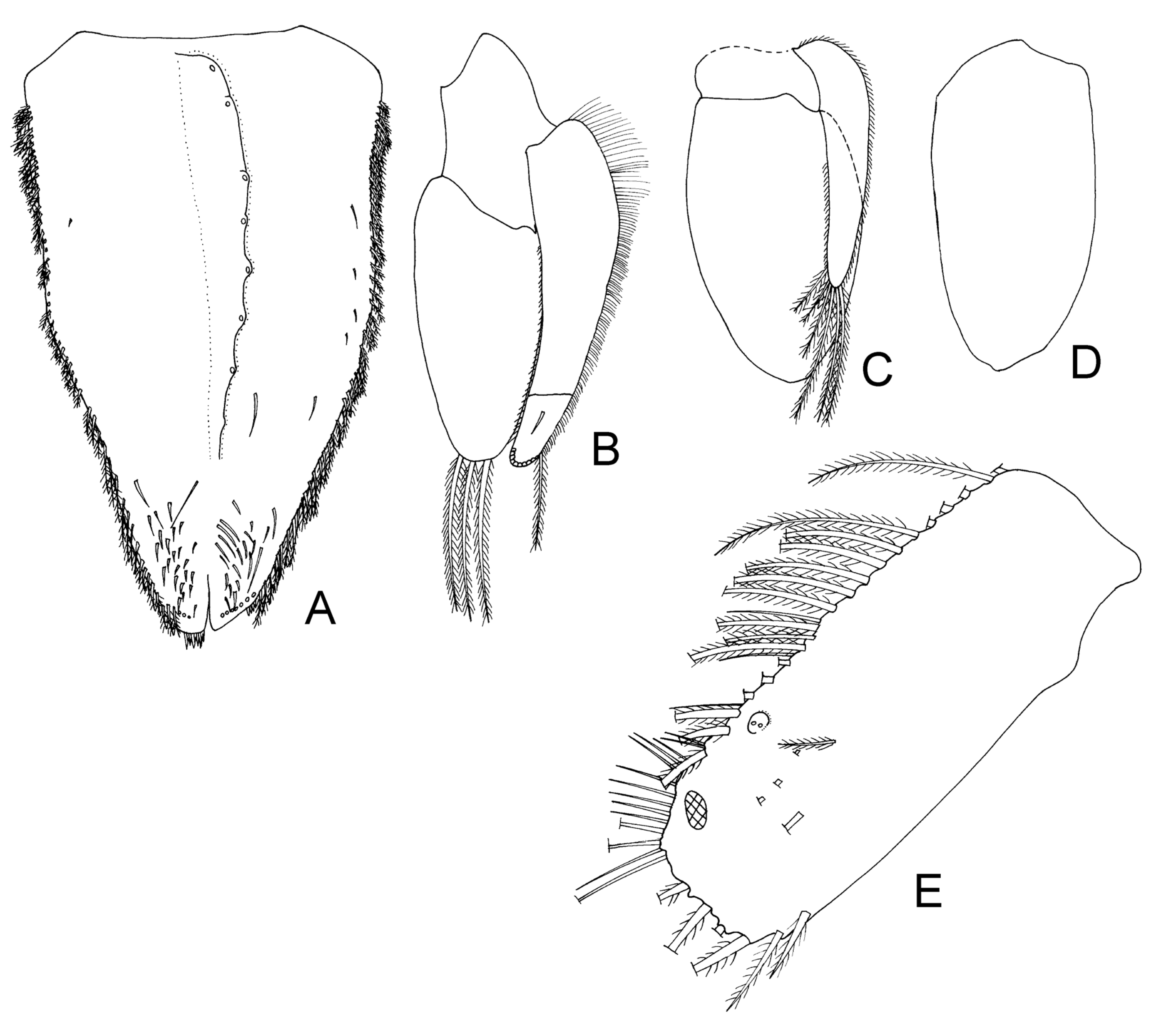 Taxonomy 04 00013 g009