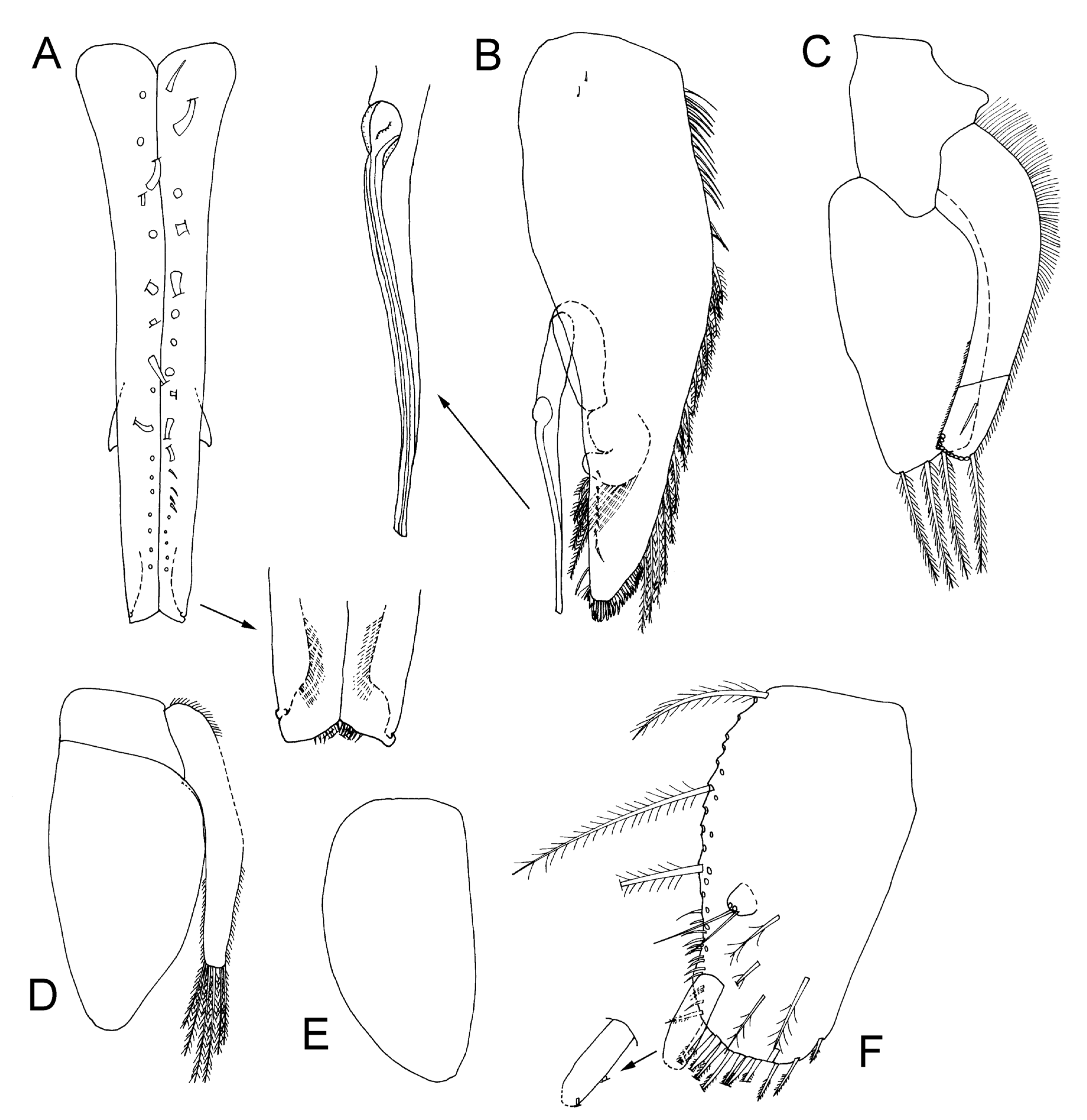 Taxonomy 04 00013 g012