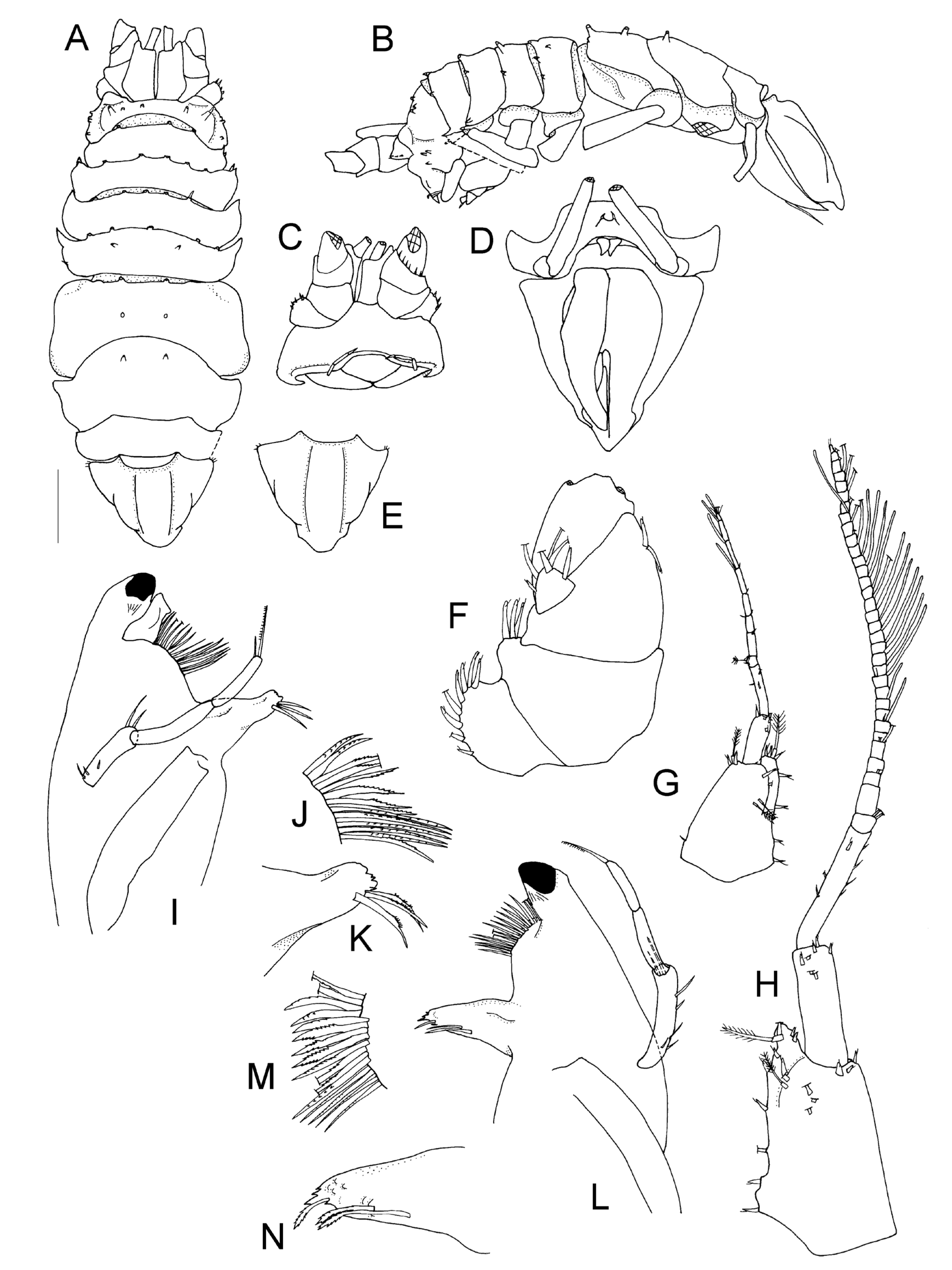 Taxonomy 04 00013 g013