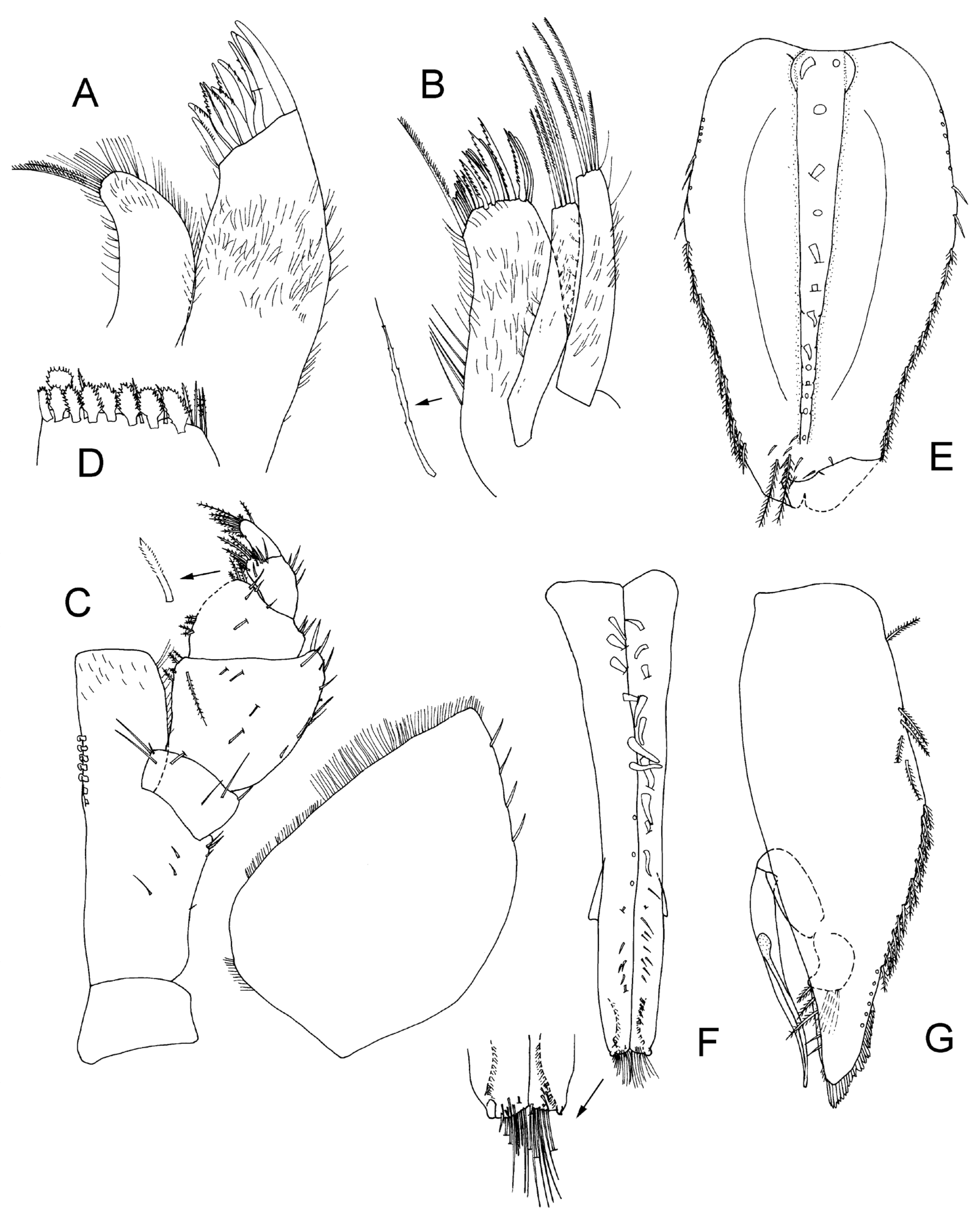 Taxonomy 04 00013 g014