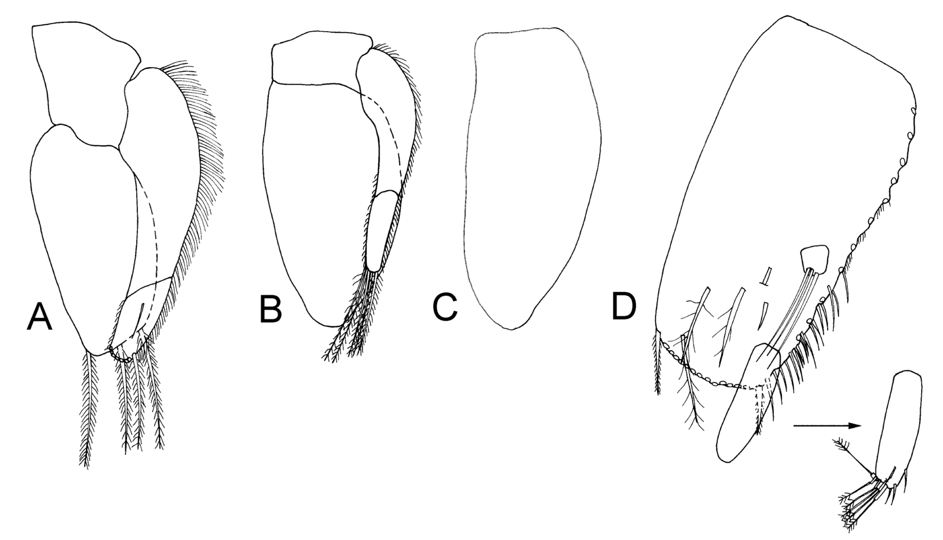 Taxonomy 04 00013 g015