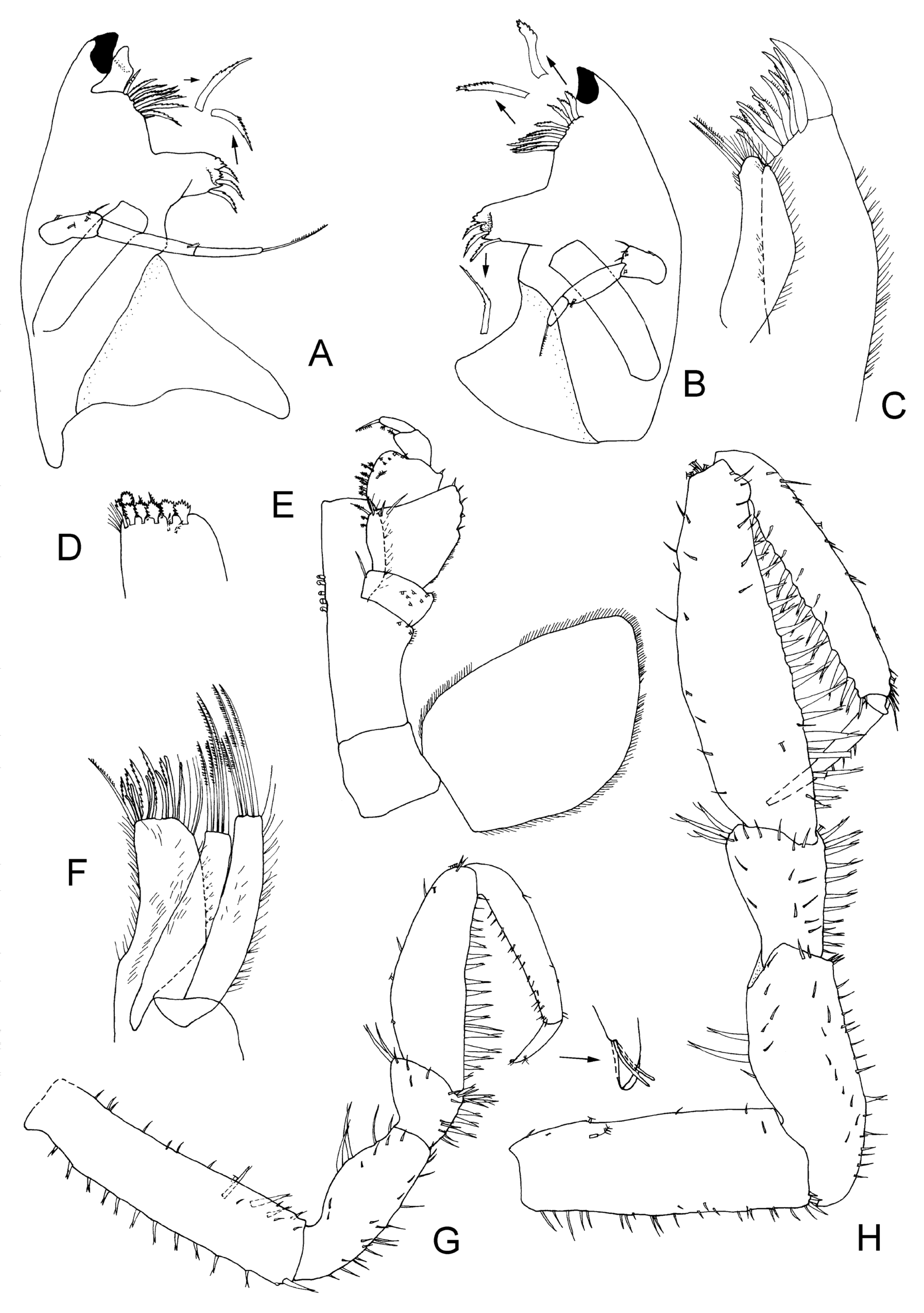 Taxonomy 04 00013 g017