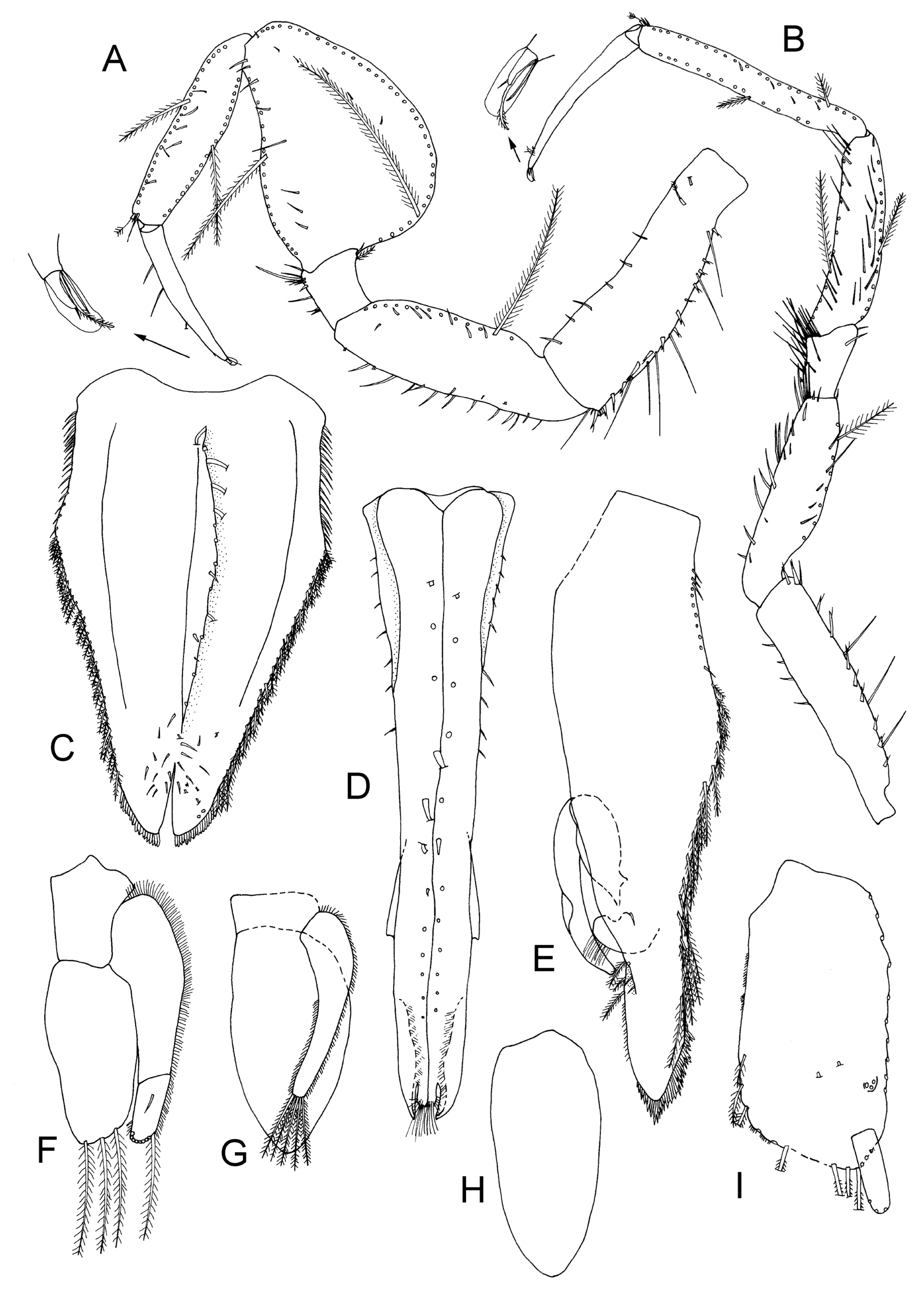 Taxonomy 04 00013 g018