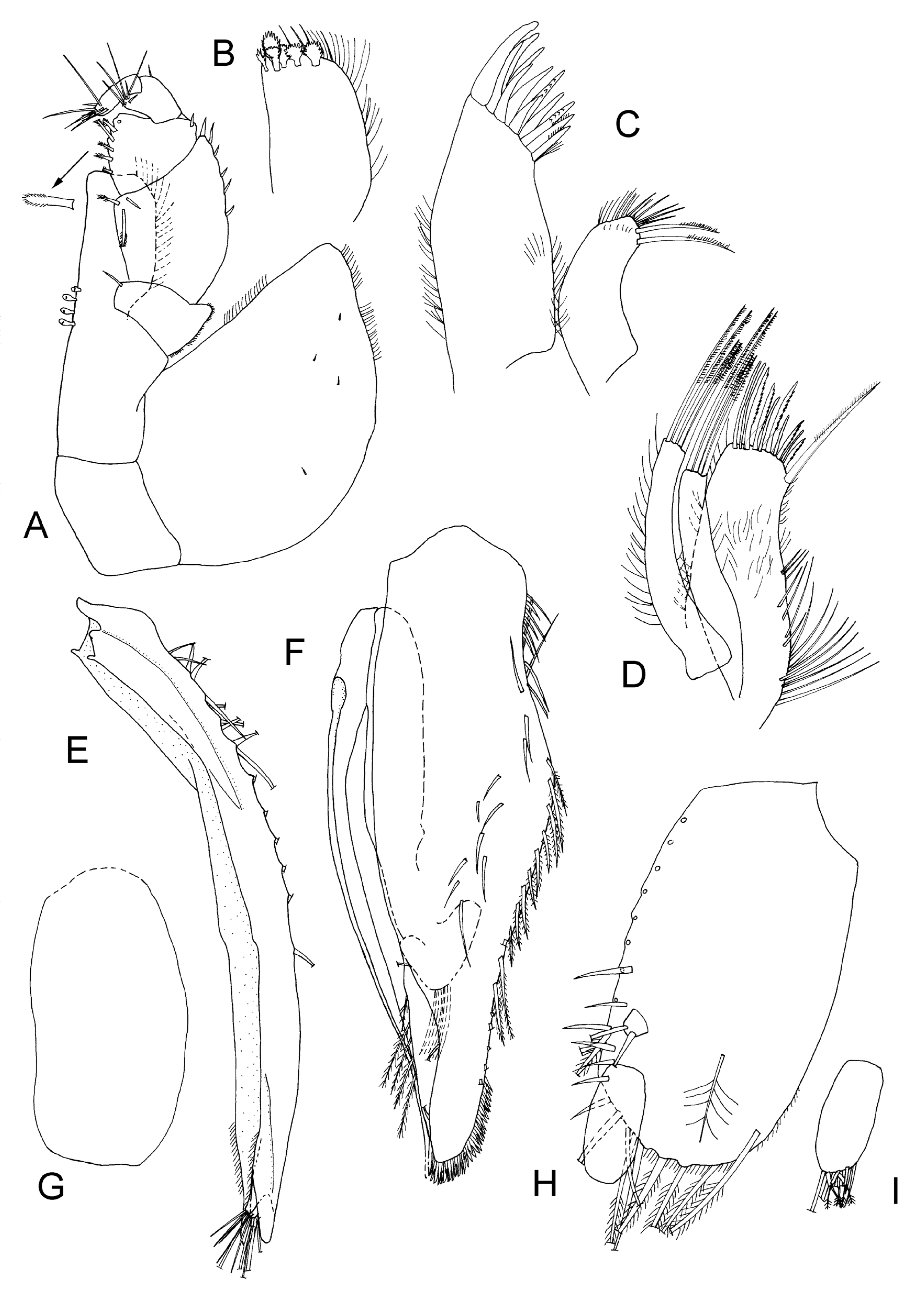 Taxonomy 04 00013 g020