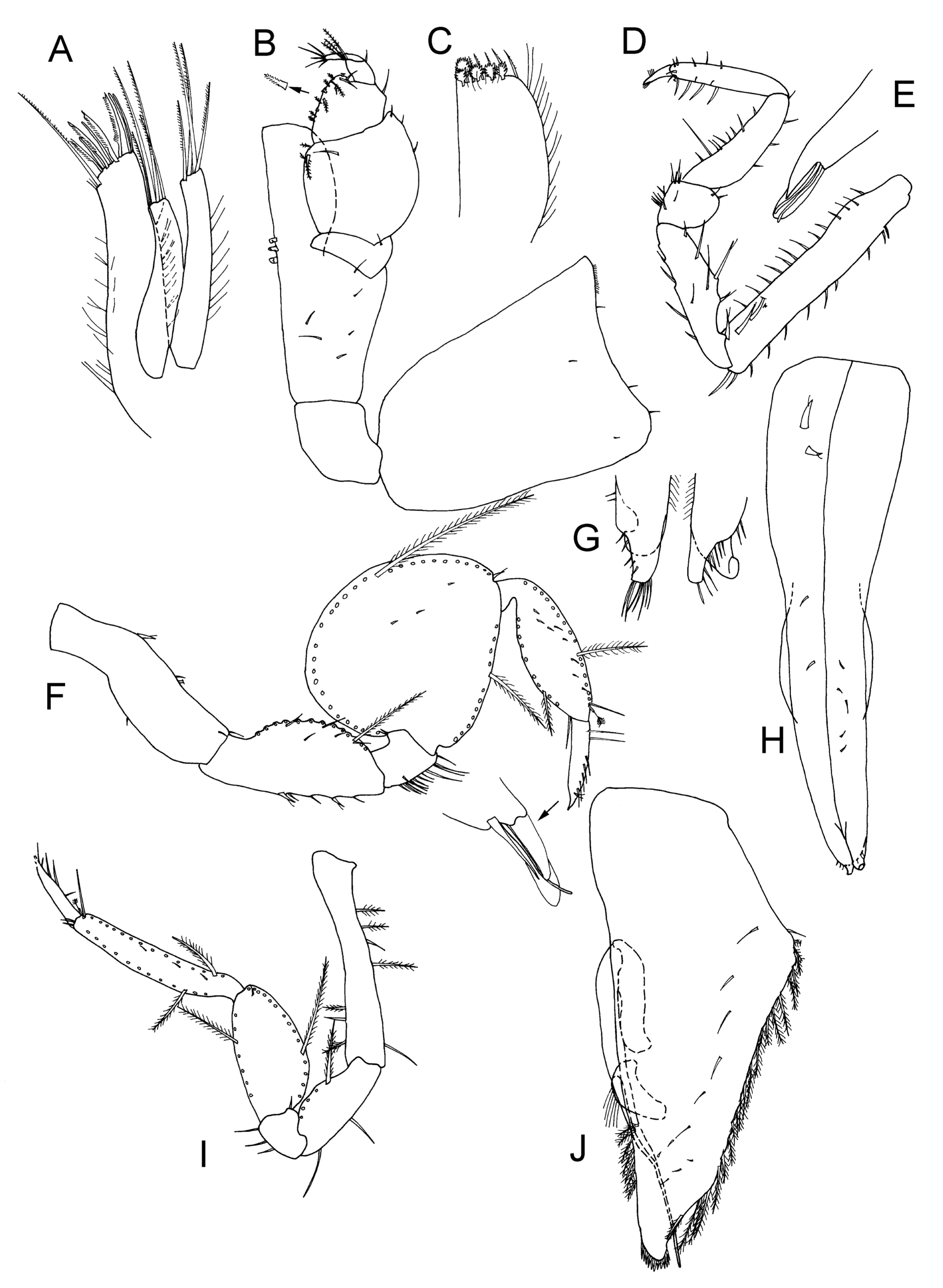 Taxonomy 04 00013 g022