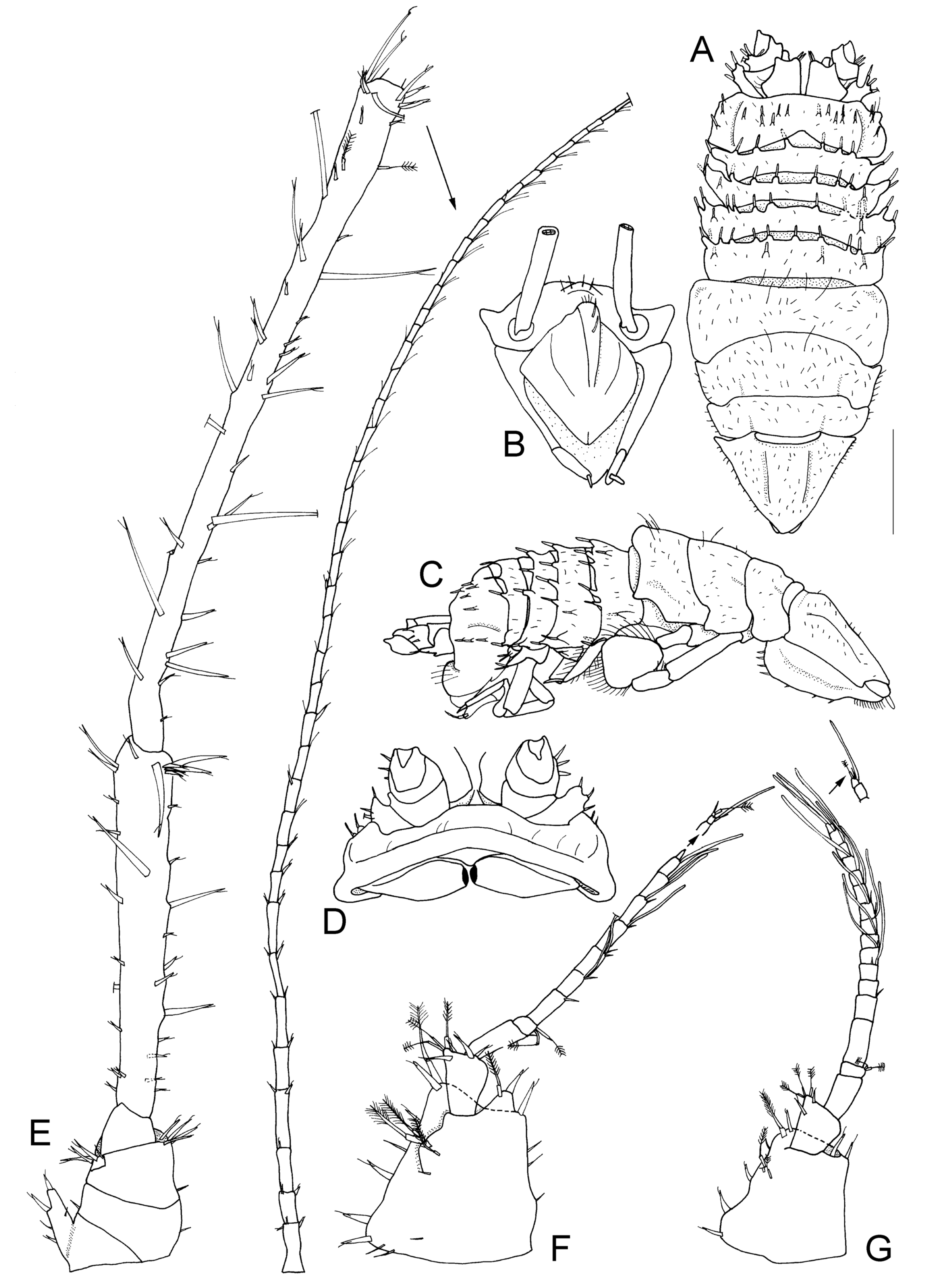 Taxonomy 04 00013 g024