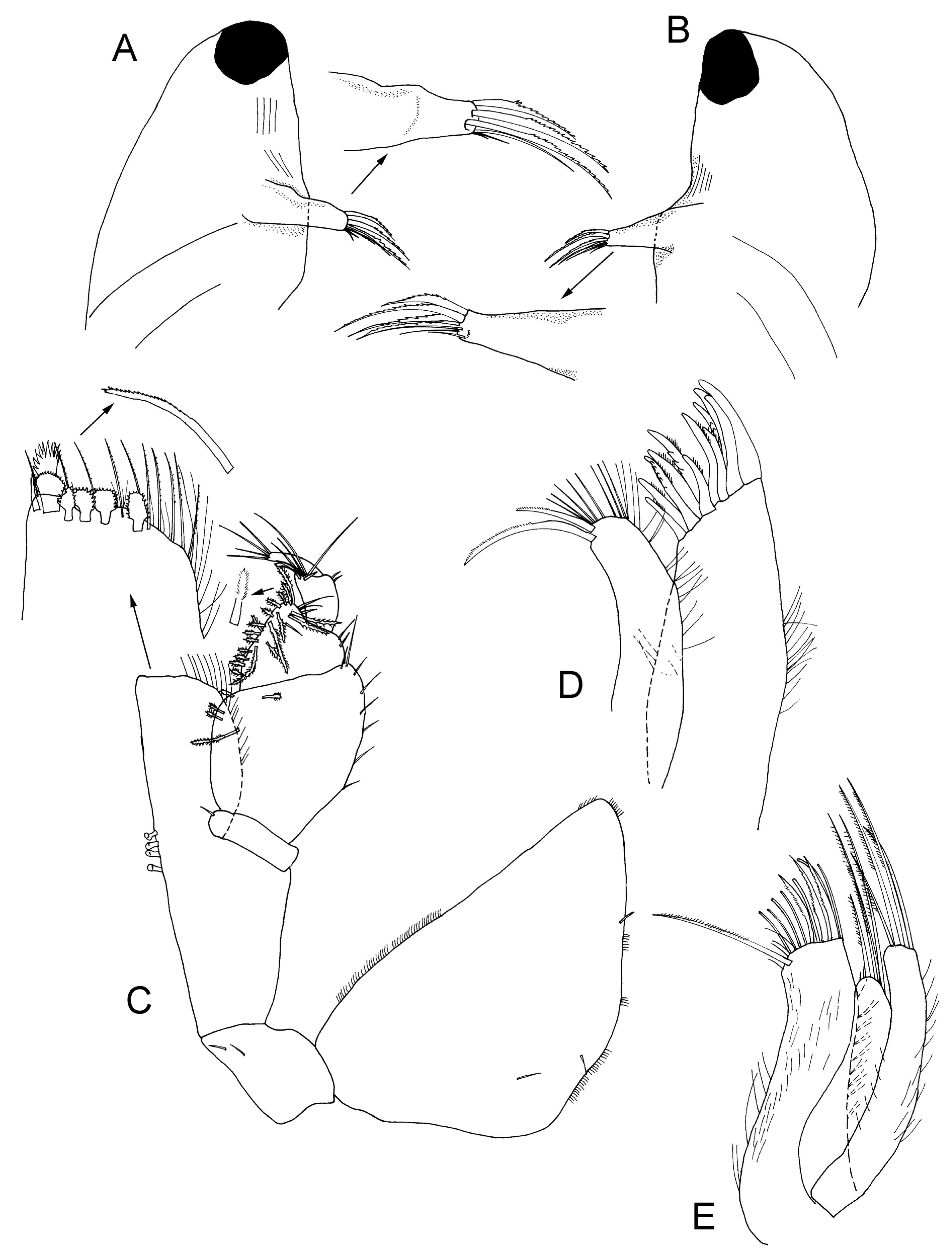 Taxonomy 04 00013 g025