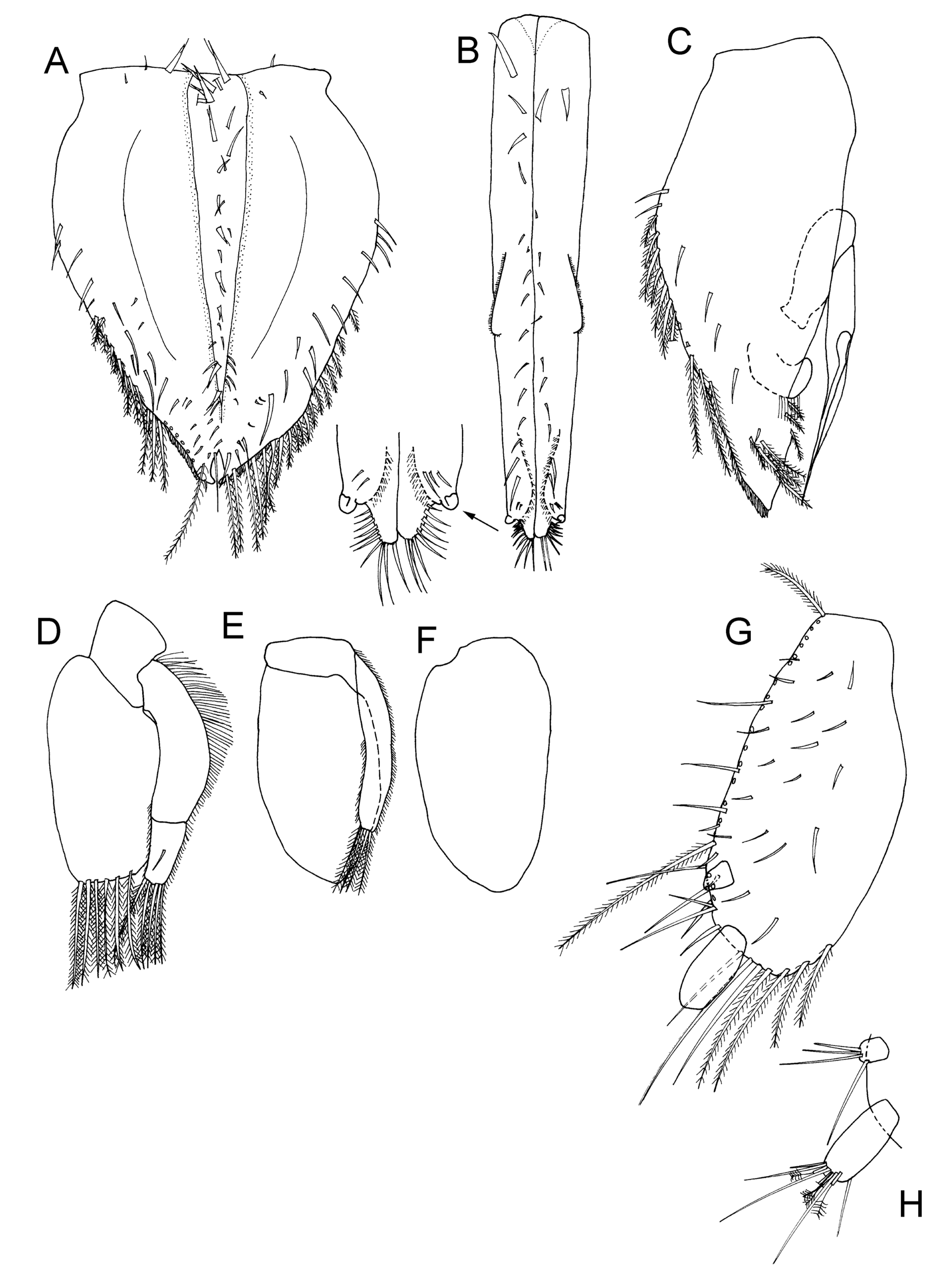 Taxonomy 04 00013 g027