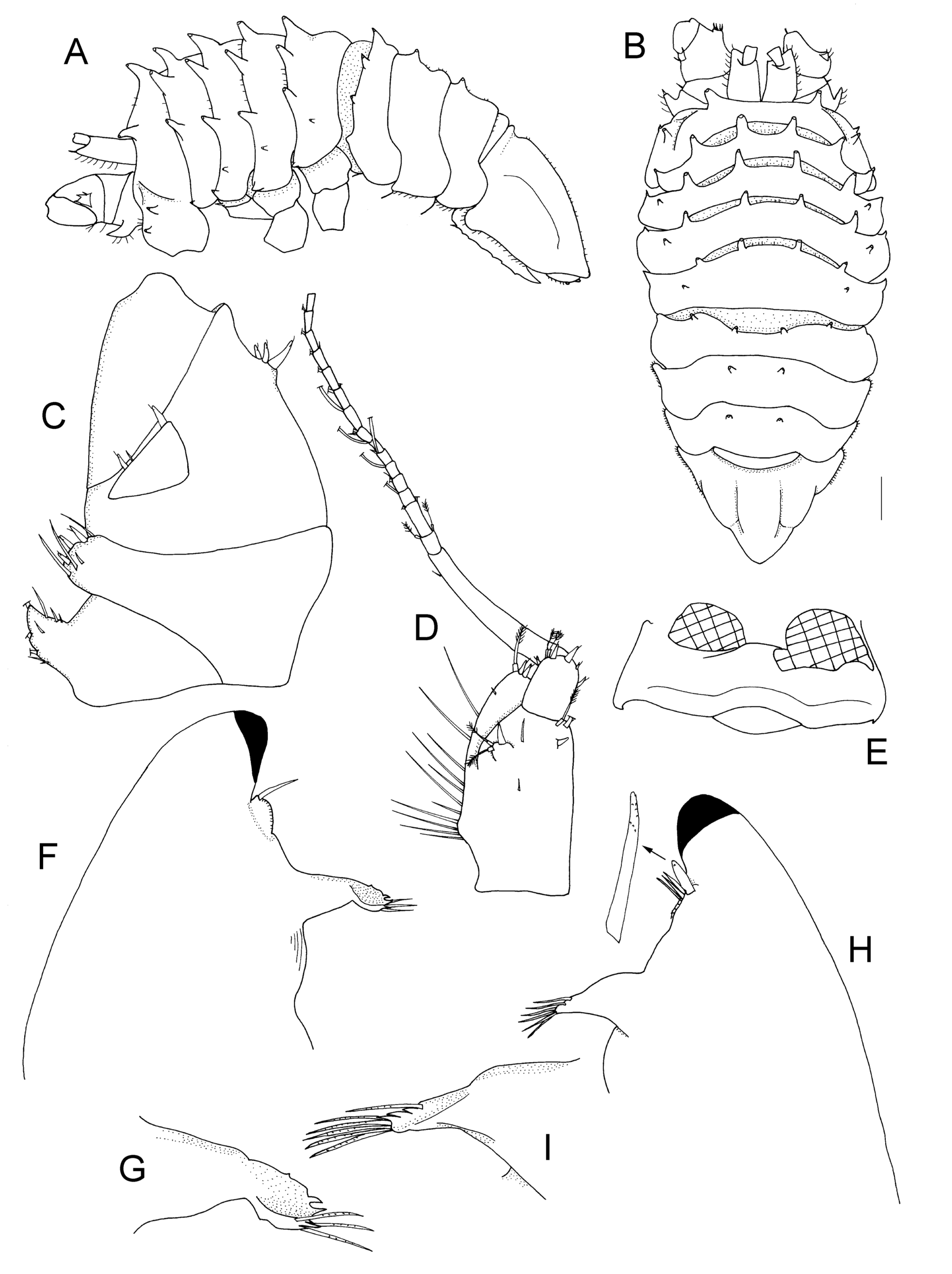 Taxonomy 04 00013 g028