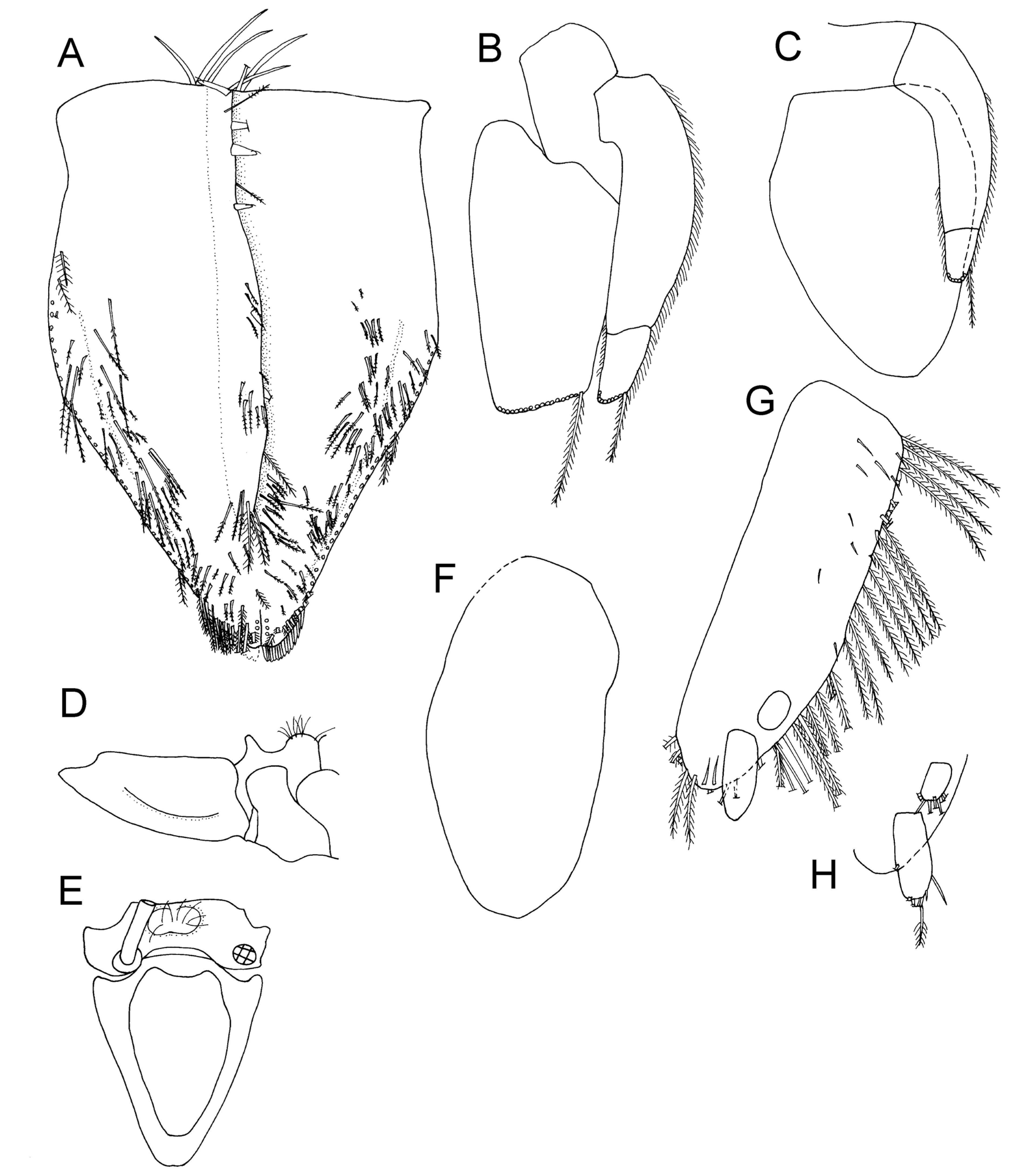 Taxonomy 04 00013 g031
