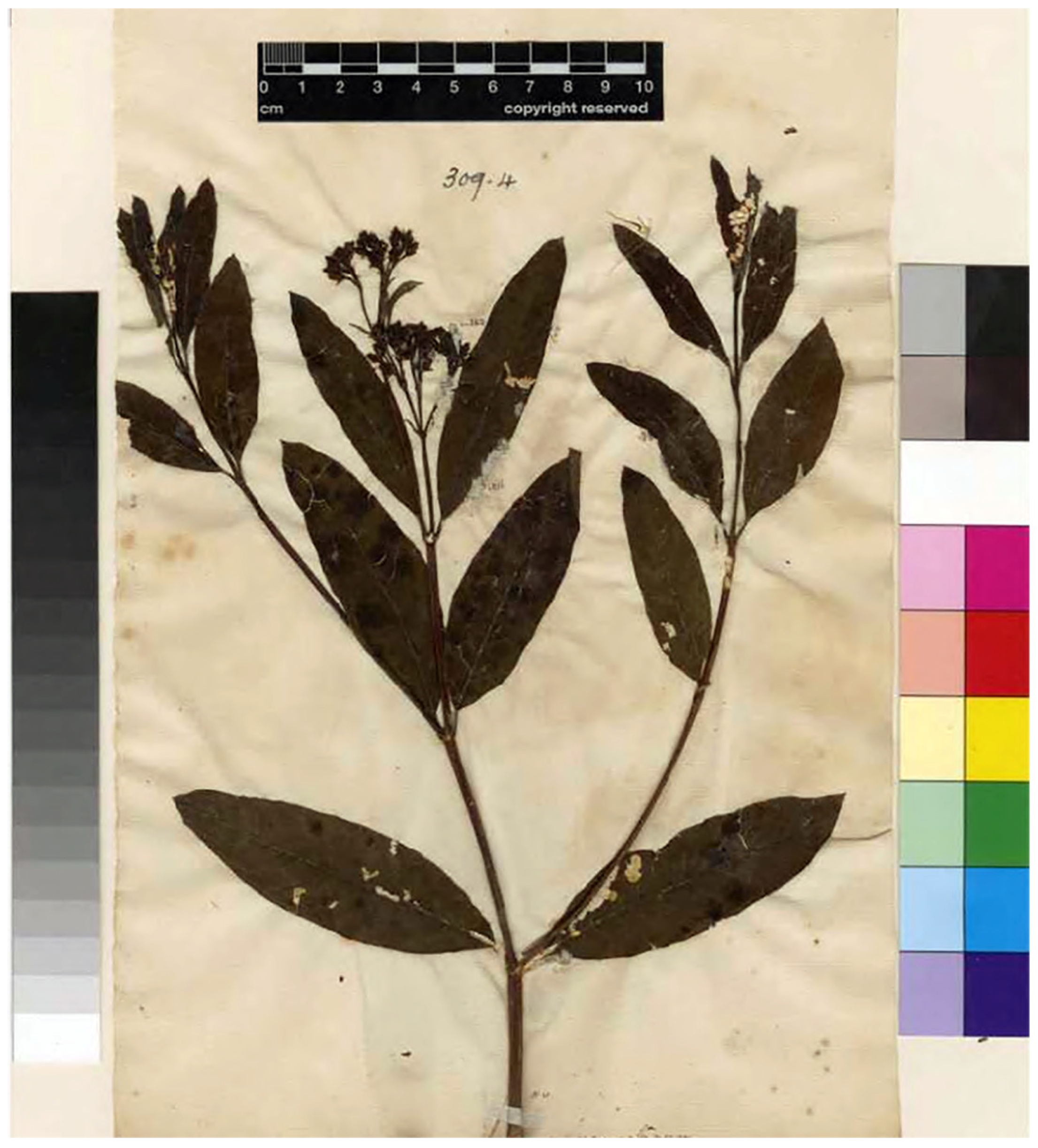 Taxonomy 04 00015 g003 Taxonomy 04 00015 g003