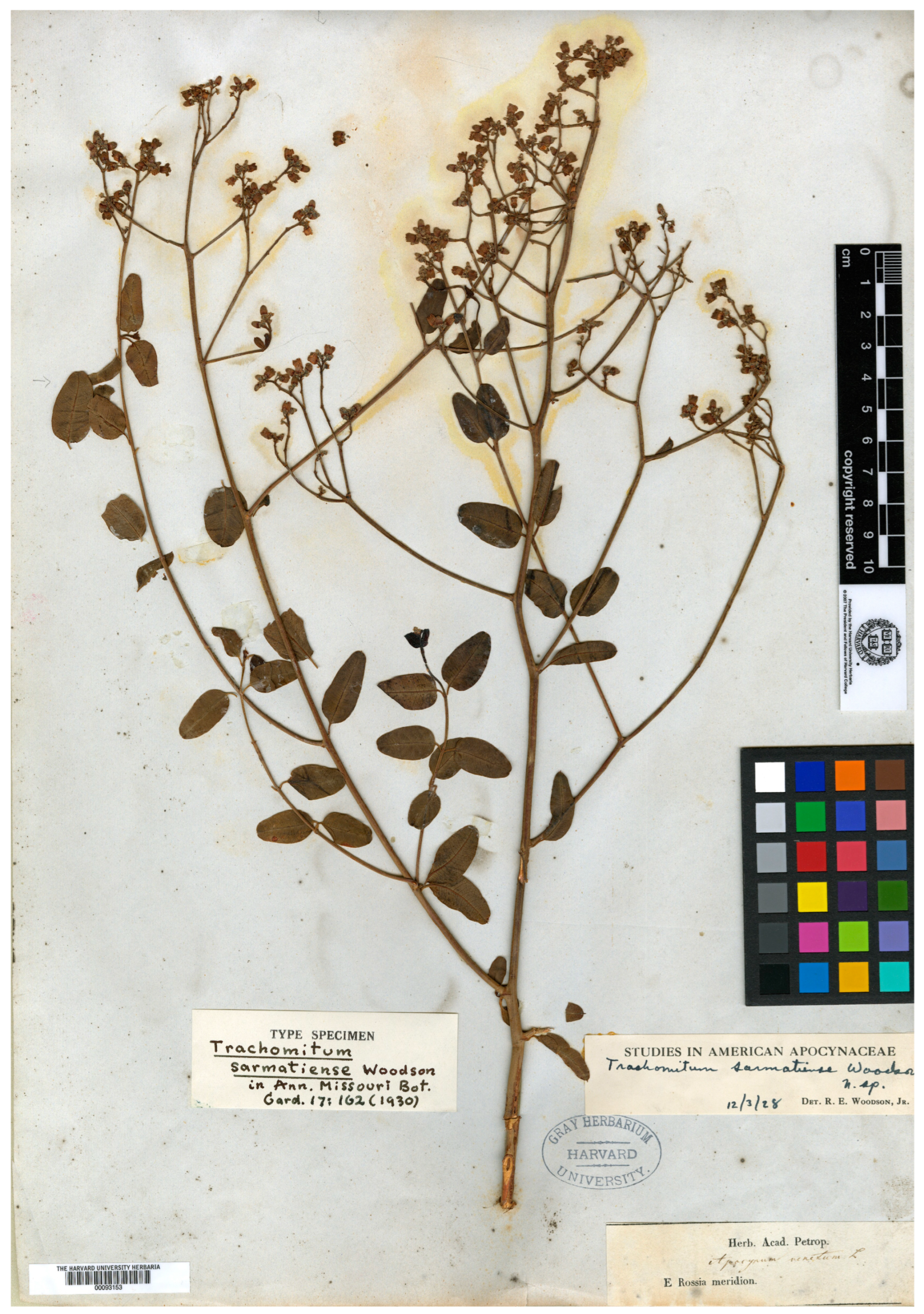 Taxonomy 04 00015 g005 Taxonomy 04 00015 g005