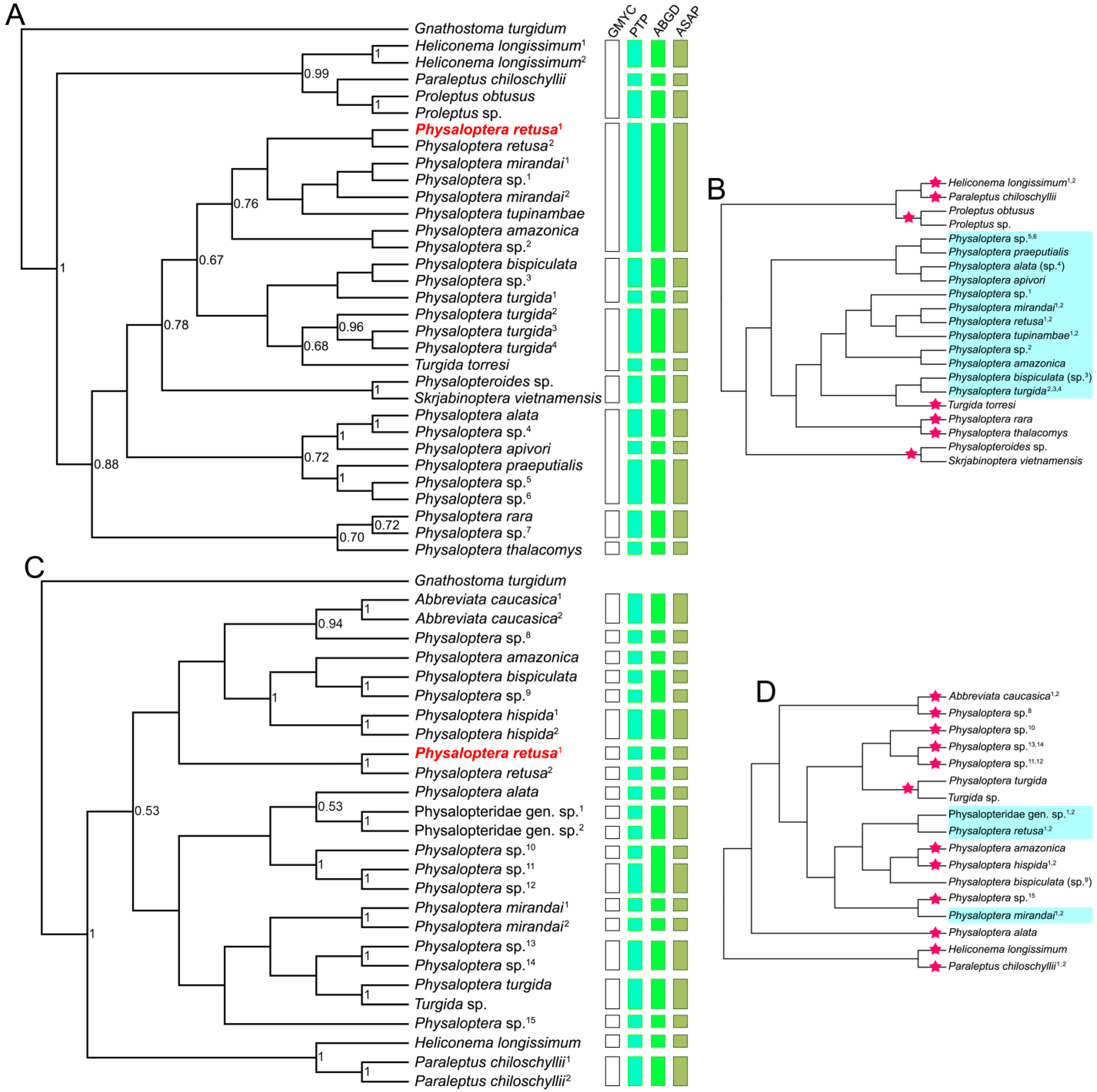 Taxonomy 04 00016 g002