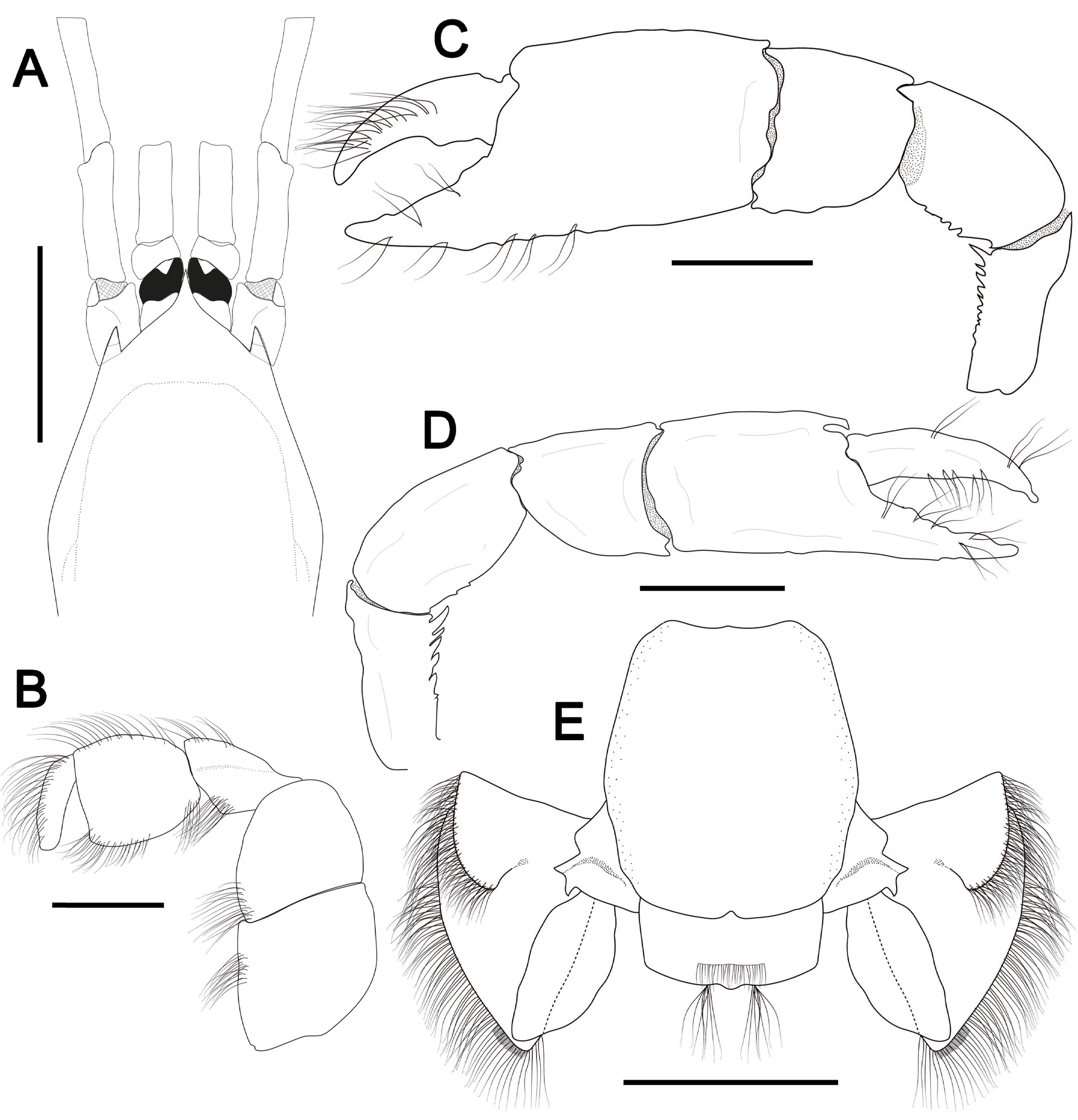 Taxonomy 04 00018 g002