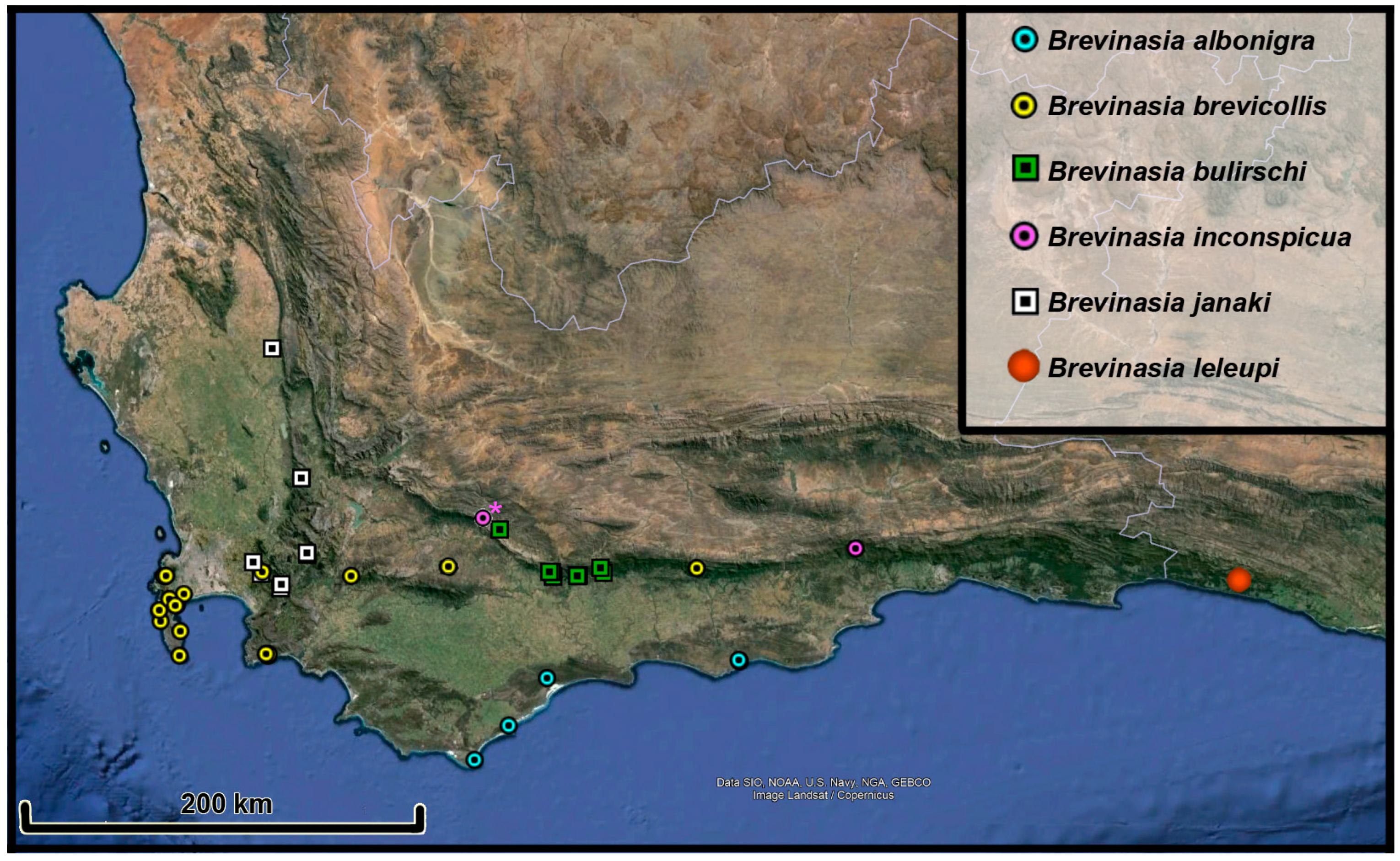 Taxonomy 04 00019 g001