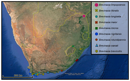 Taxonomy 04 00019 g002