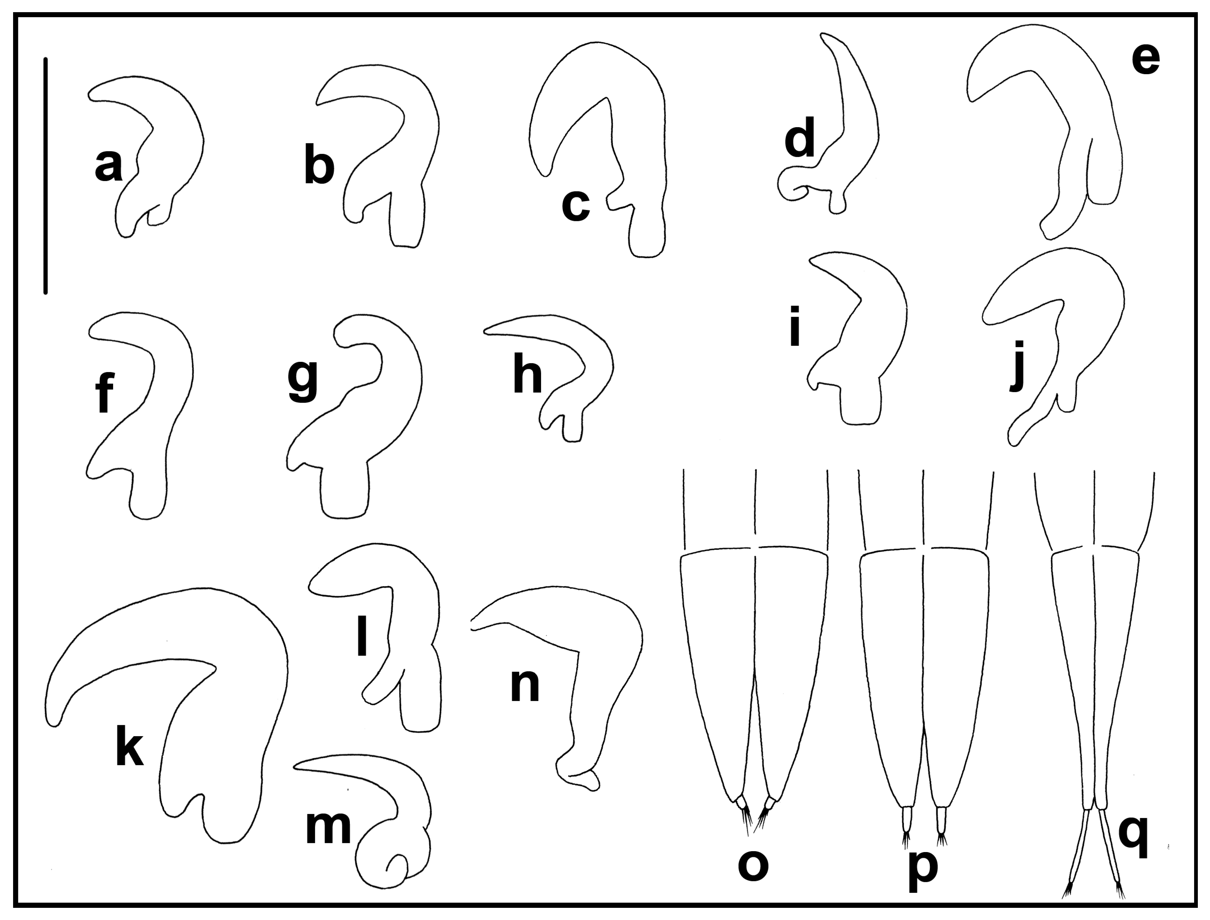 Taxonomy 04 00019 g018