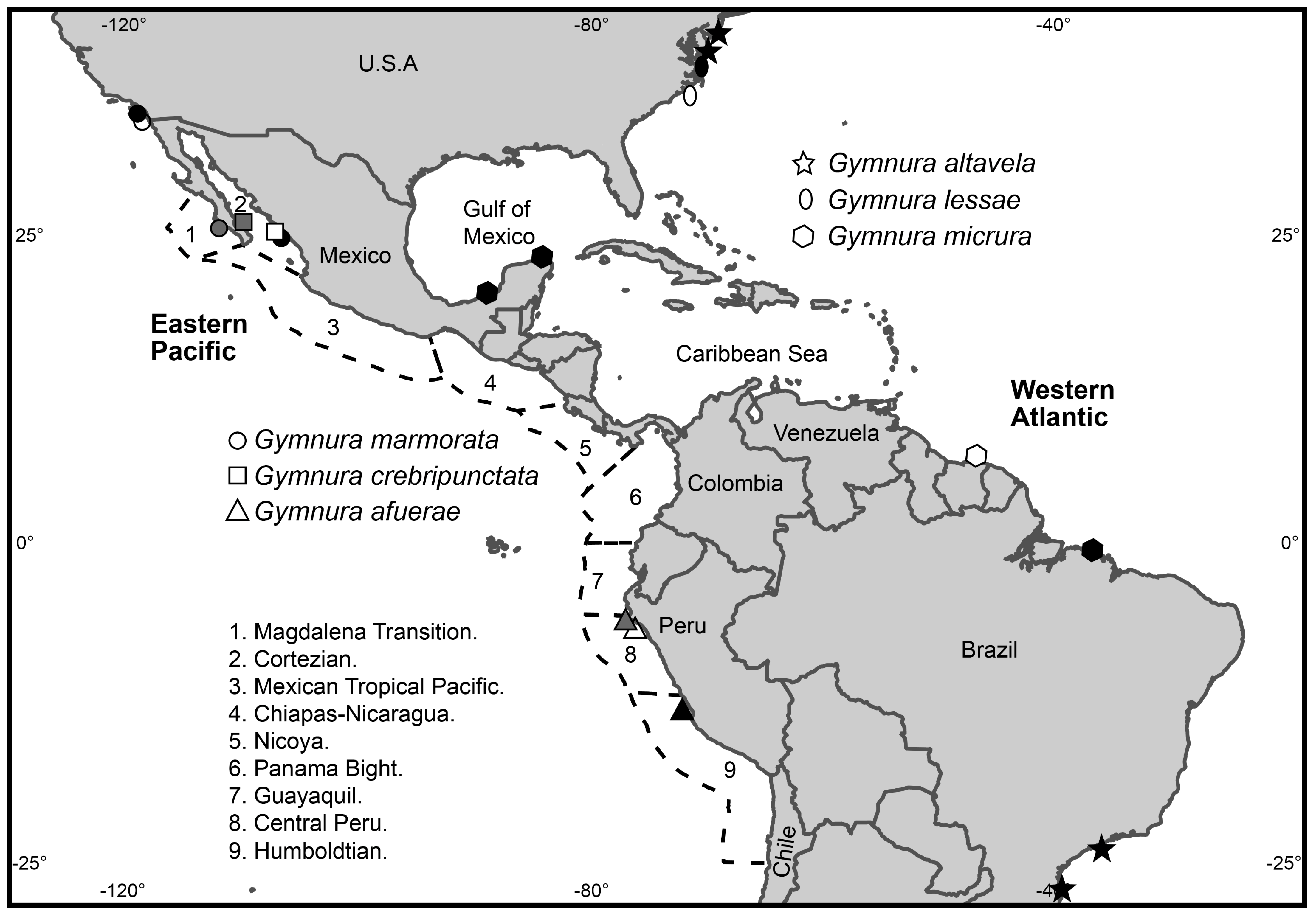 Taxonomy 04 00027 g001