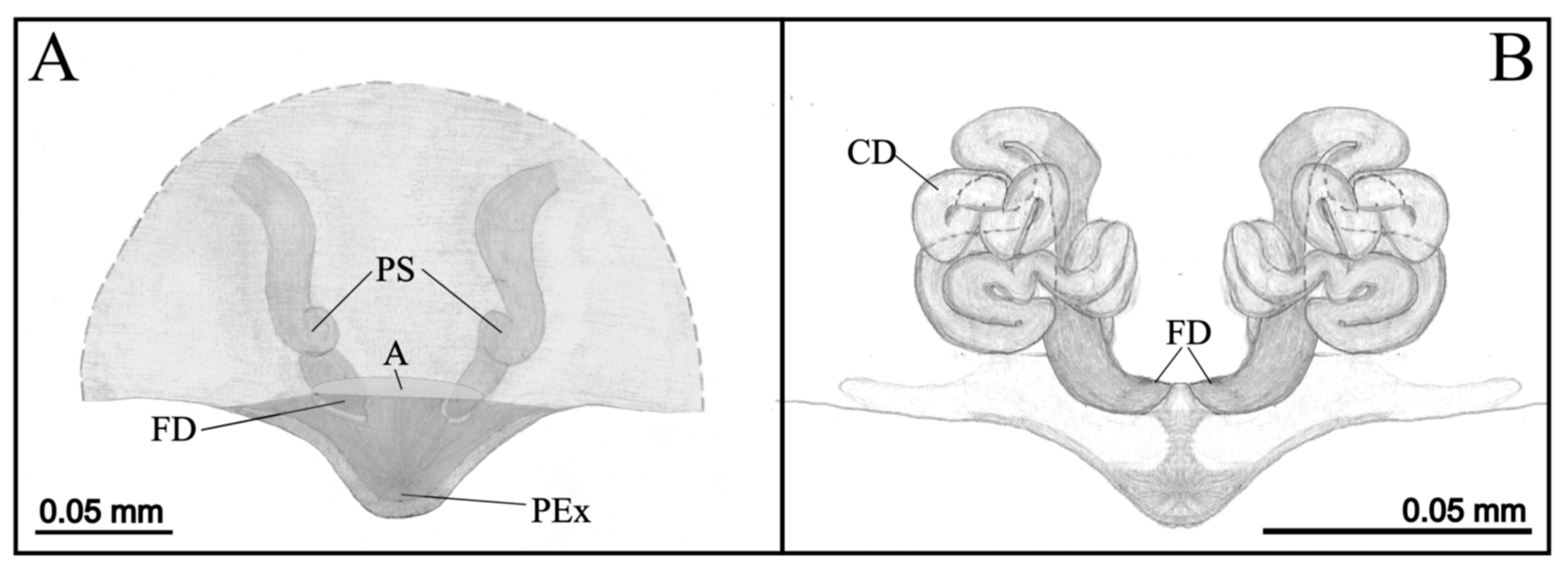 Taxonomy 04 00028 g005