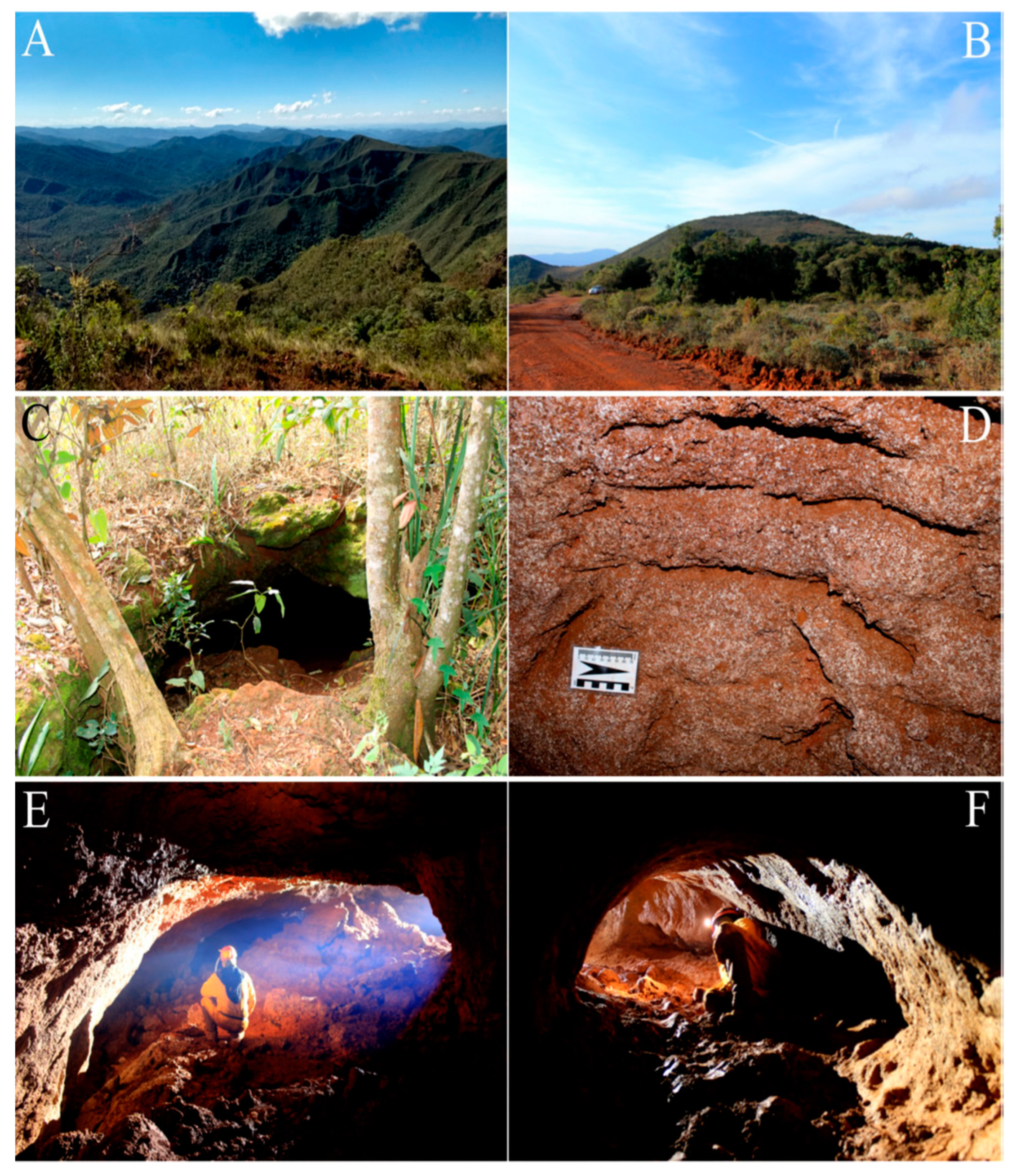 Taxonomy 04 00028 g010